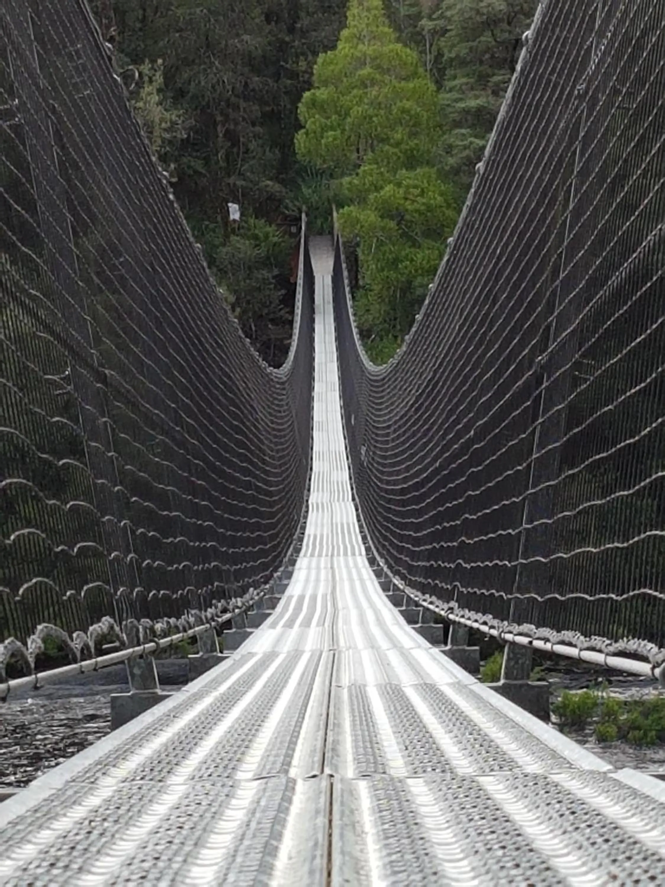 Hiking in Tahune AirWalk Cabin and Lodge