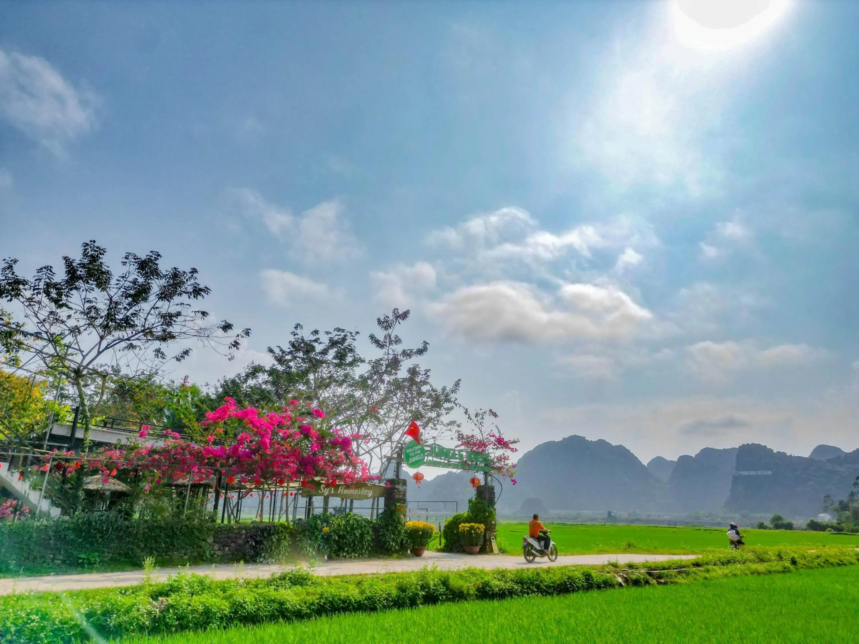 Jungle Boss Travel Lodge