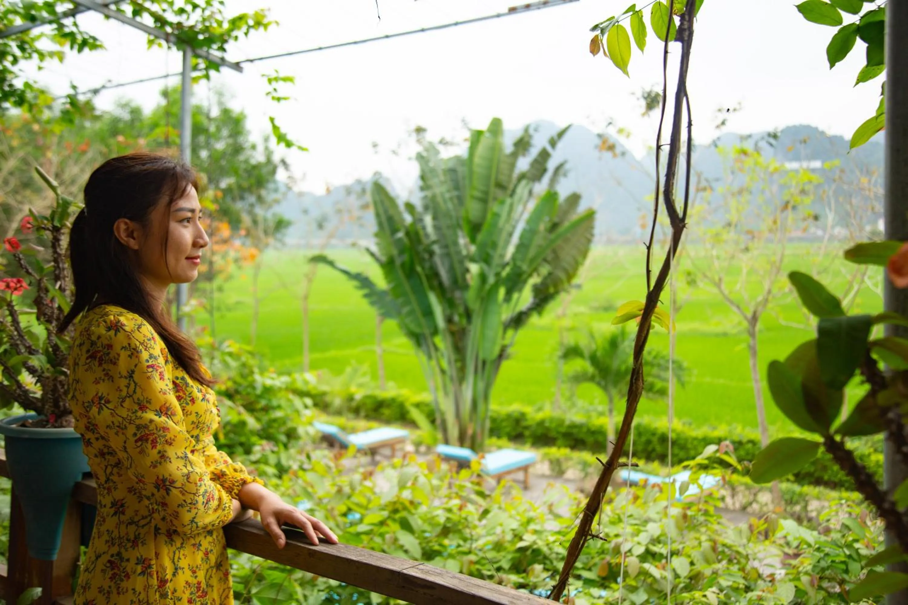 People in Jungle Boss Travel Lodge