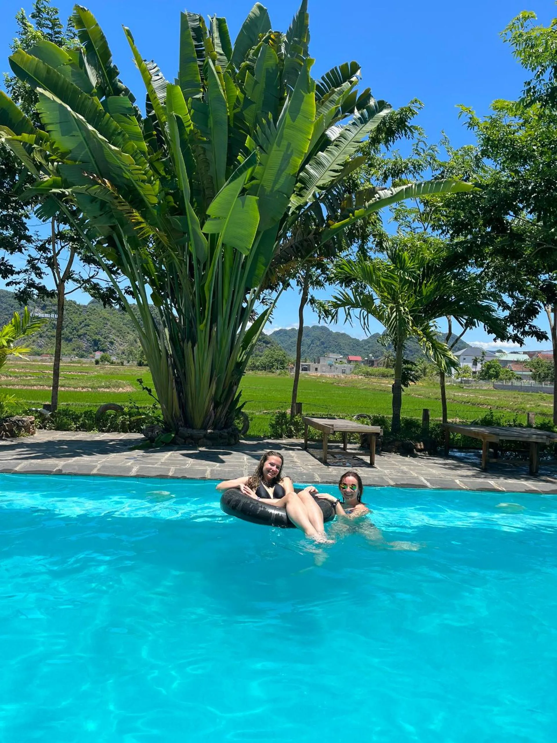 Pool view in Jungle Boss Travel Lodge