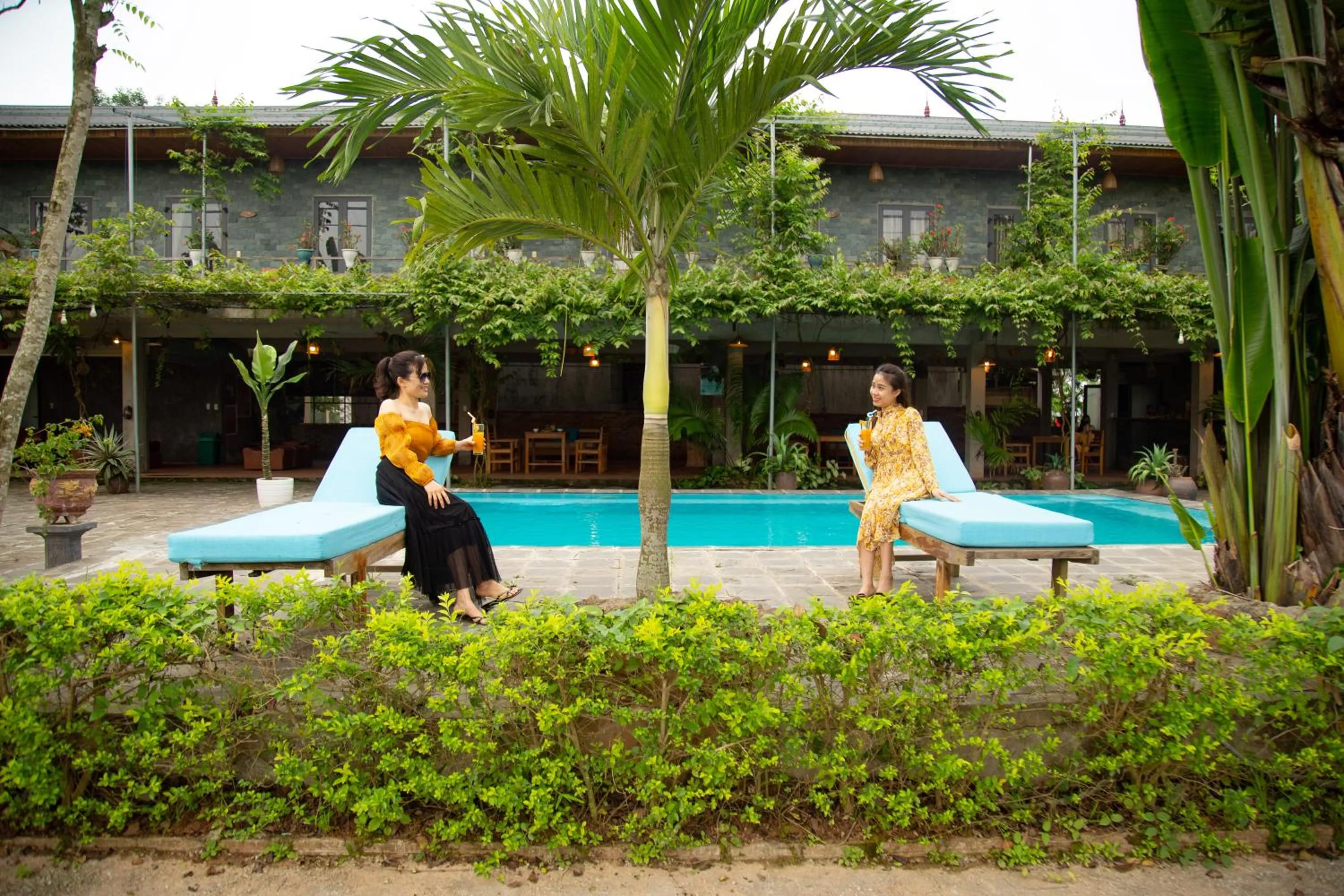 Swimming pool in Jungle Boss Travel Lodge