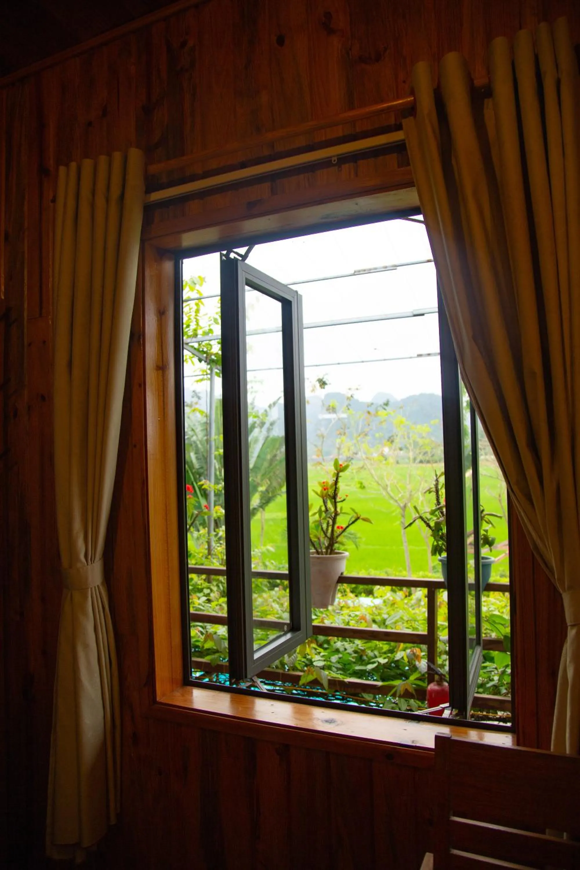 Garden in Jungle Boss Travel Lodge