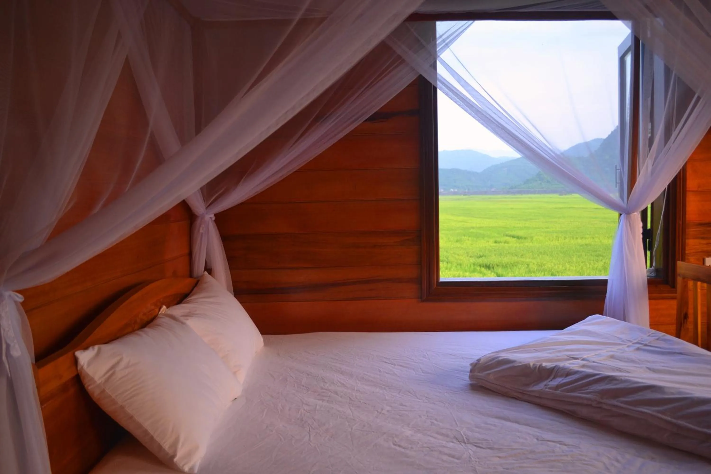 Bed in Jungle Boss Travel Lodge