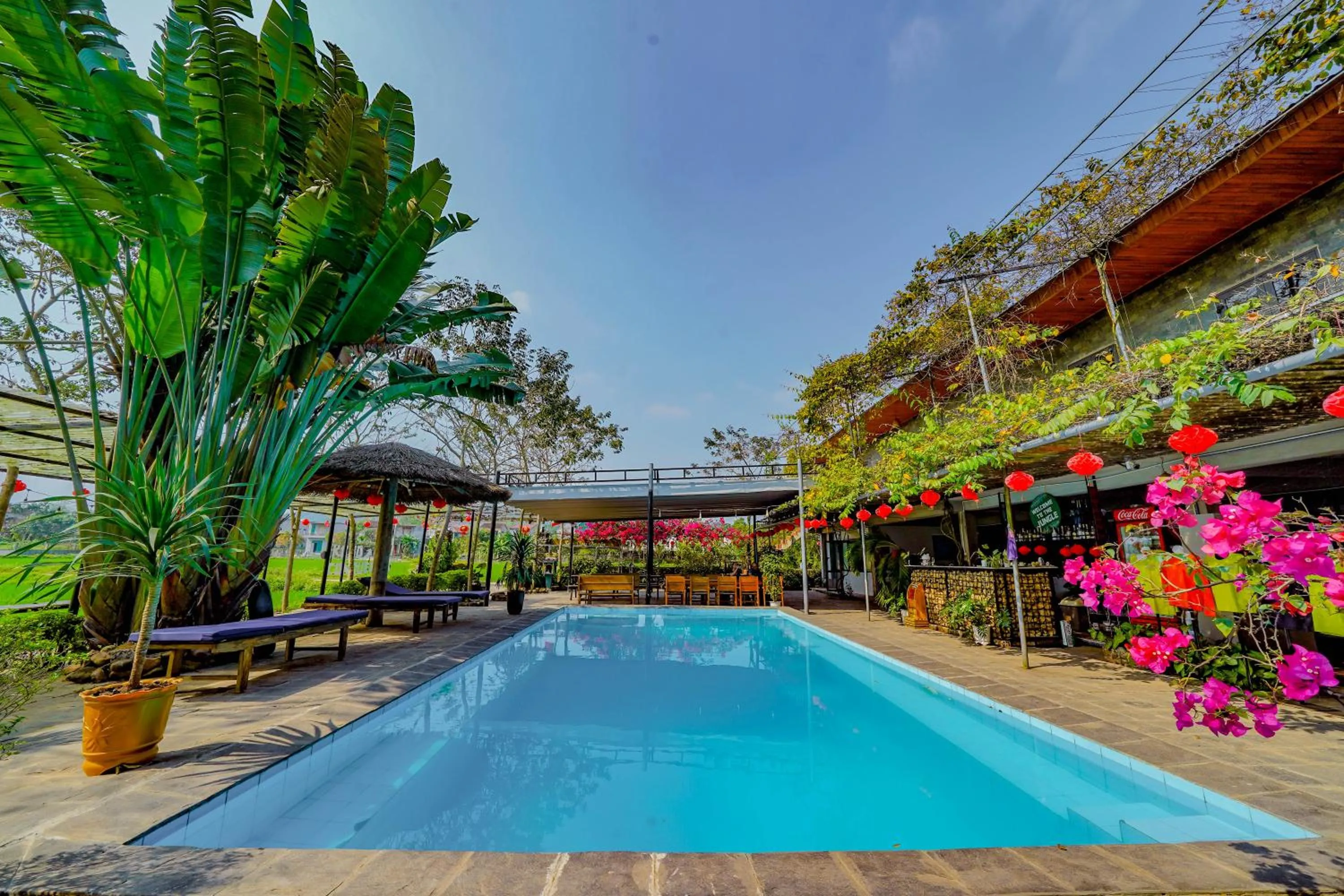 Jungle Boss Travel Lodge