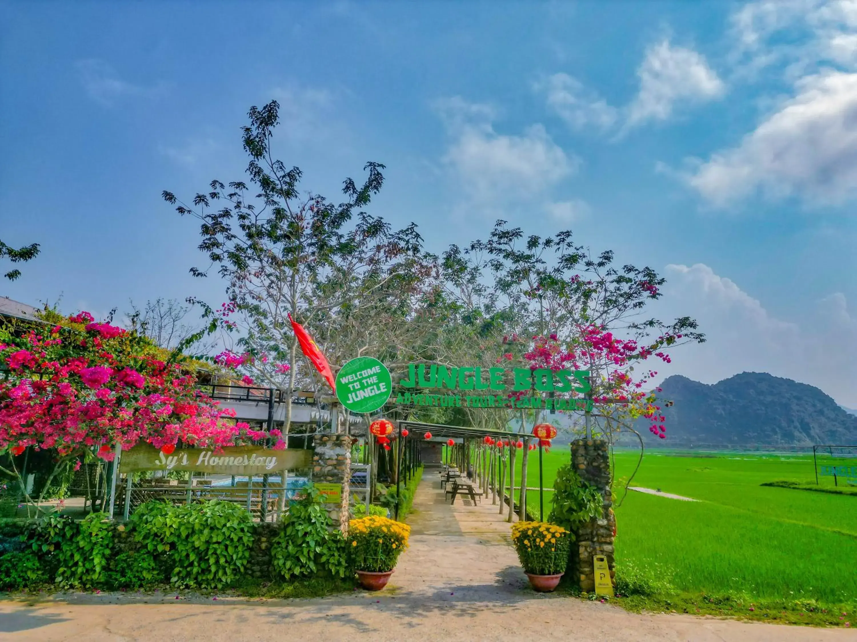 Jungle Boss Travel Lodge Jungle Boss Travel Lodge