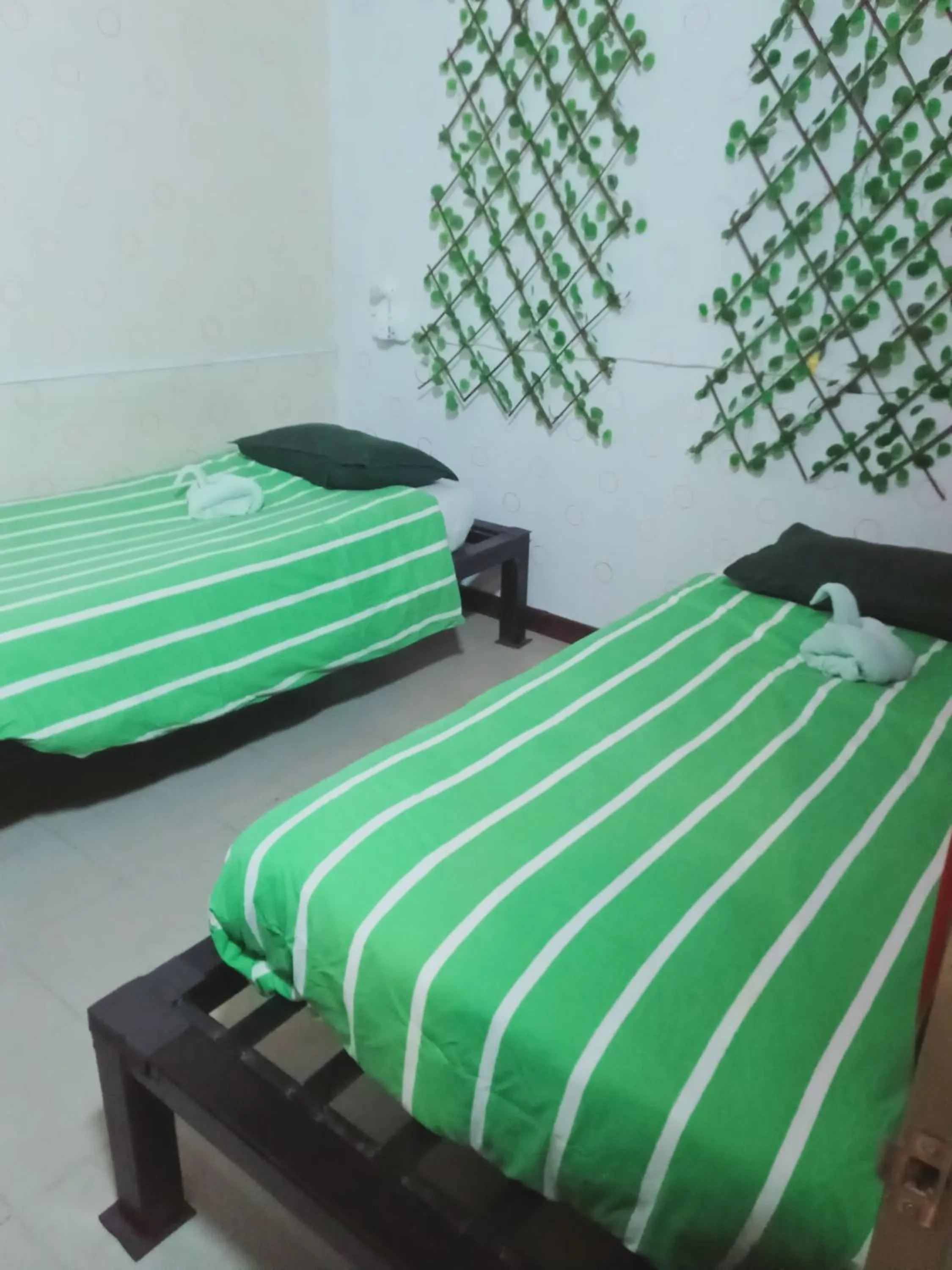 Photo of the whole room, Bed in Birdnest Guesthouse, Gaia Rooftop Cafe