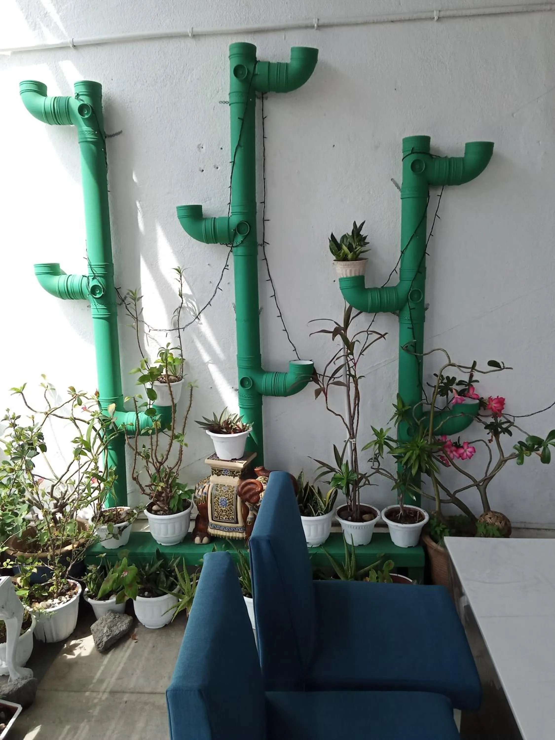 Seating area in Birdnest Guesthouse, Gaia Rooftop Cafe