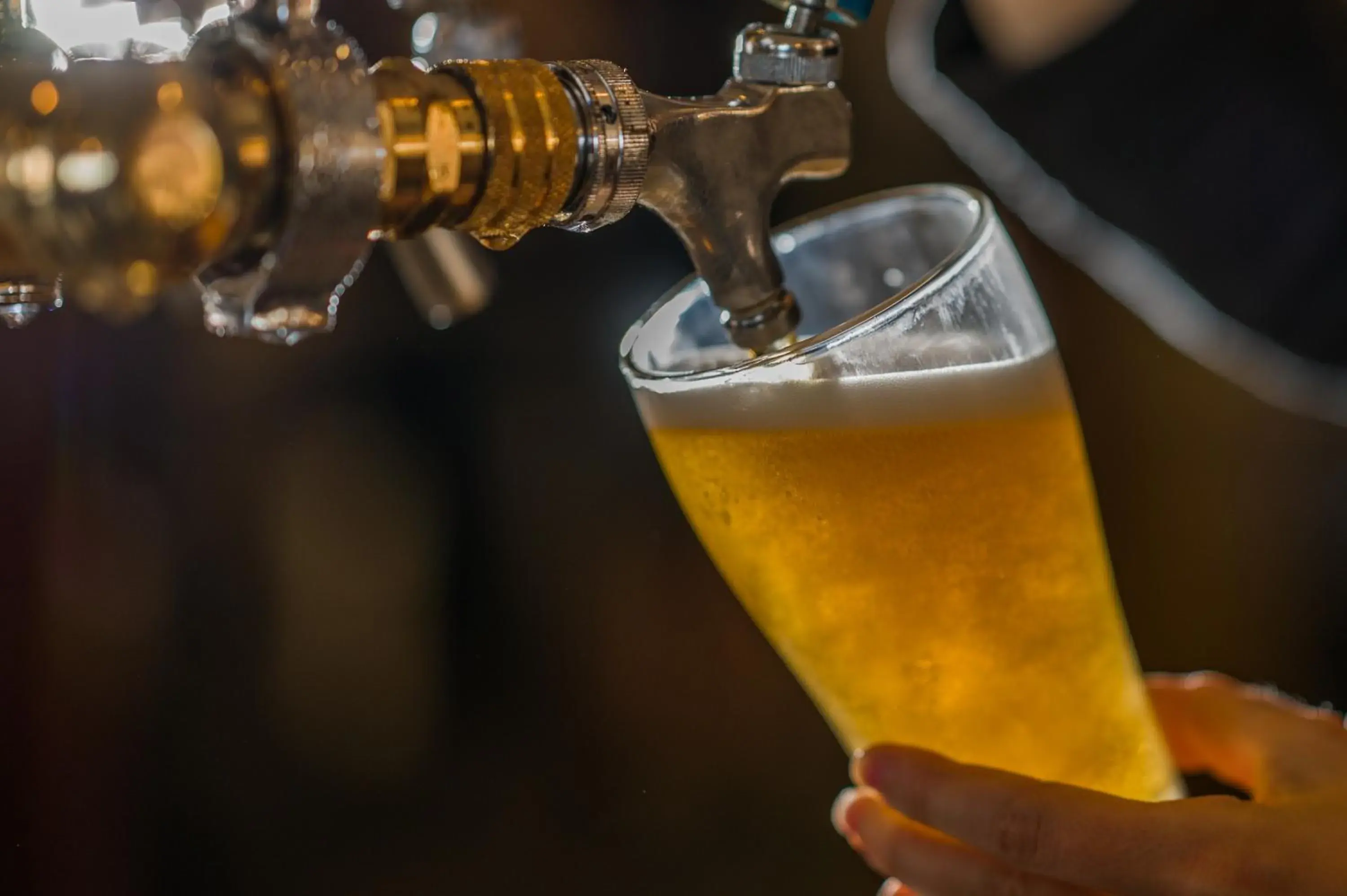 Restaurant/places to eat in Seafront Hotel Kangaroo Island Restaurant/places to eat in Seafront Hotel Kangaroo Island