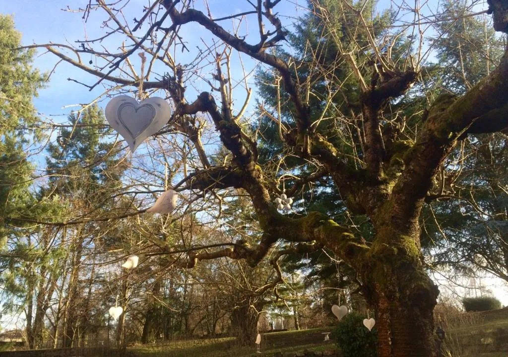 Spring in Chambre d'hôtes Du côté des remparts