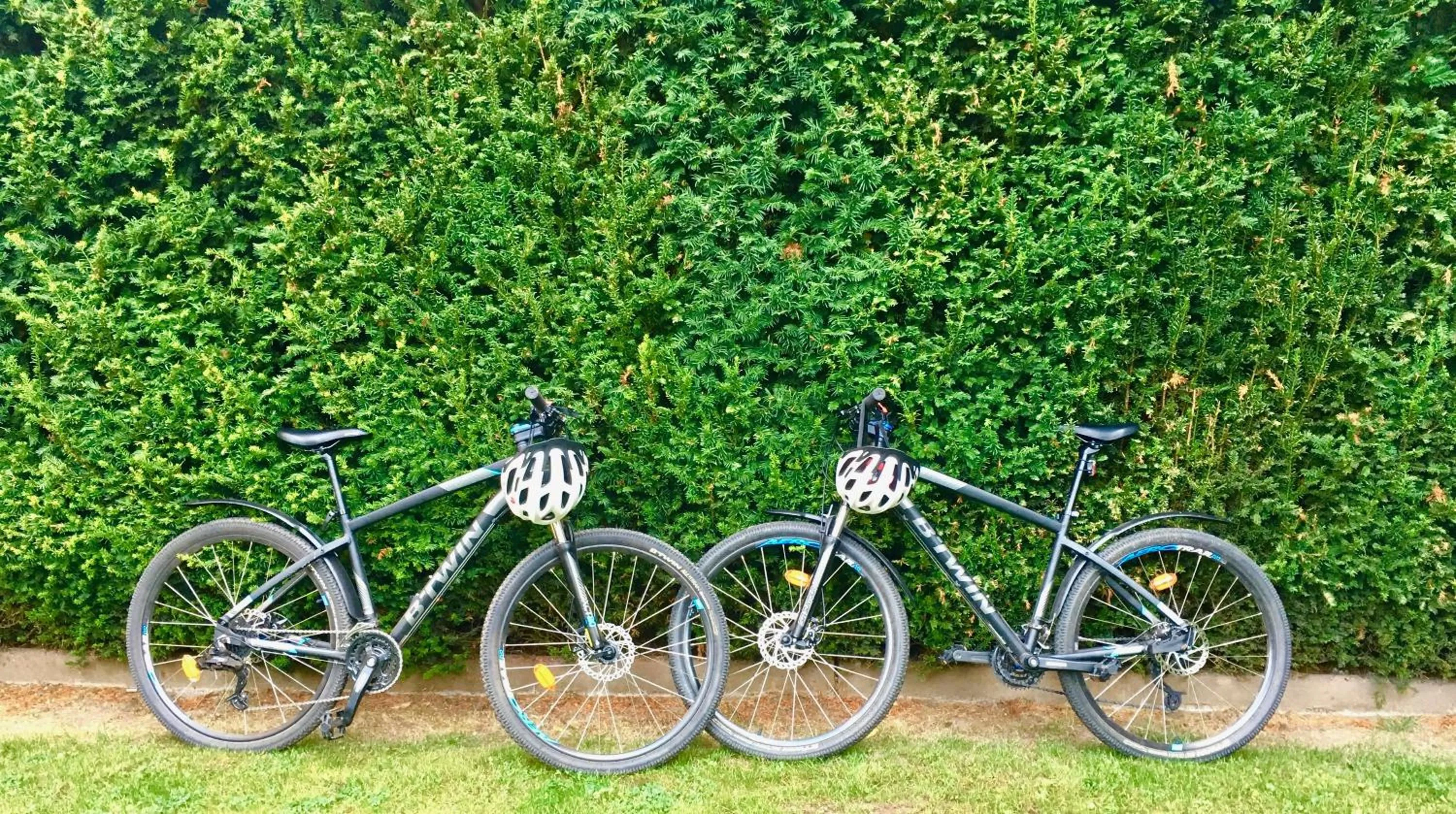 Cycling in Chambre d'hôtes Du côté des remparts