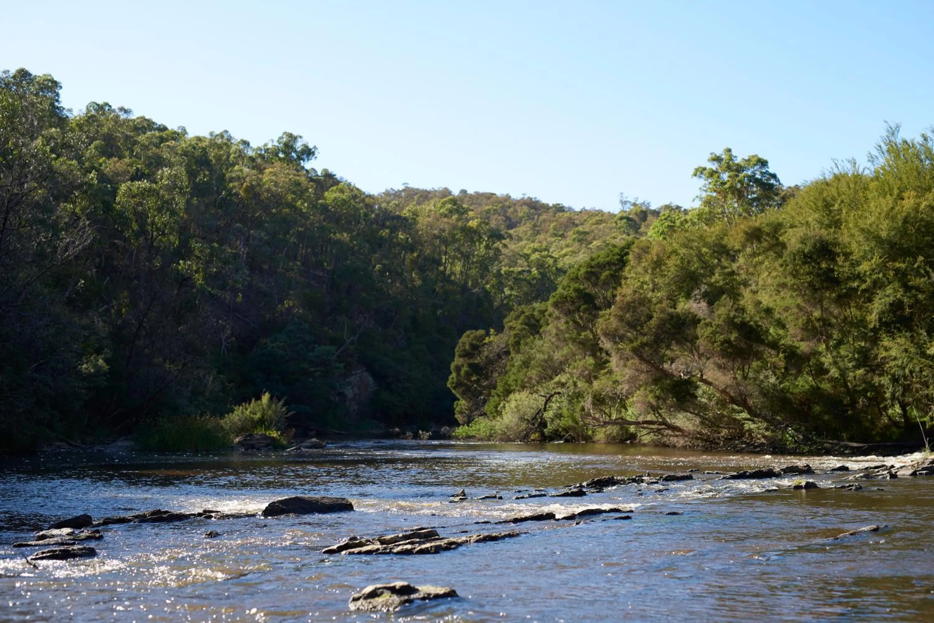 Day in Yering Gorge Cottages