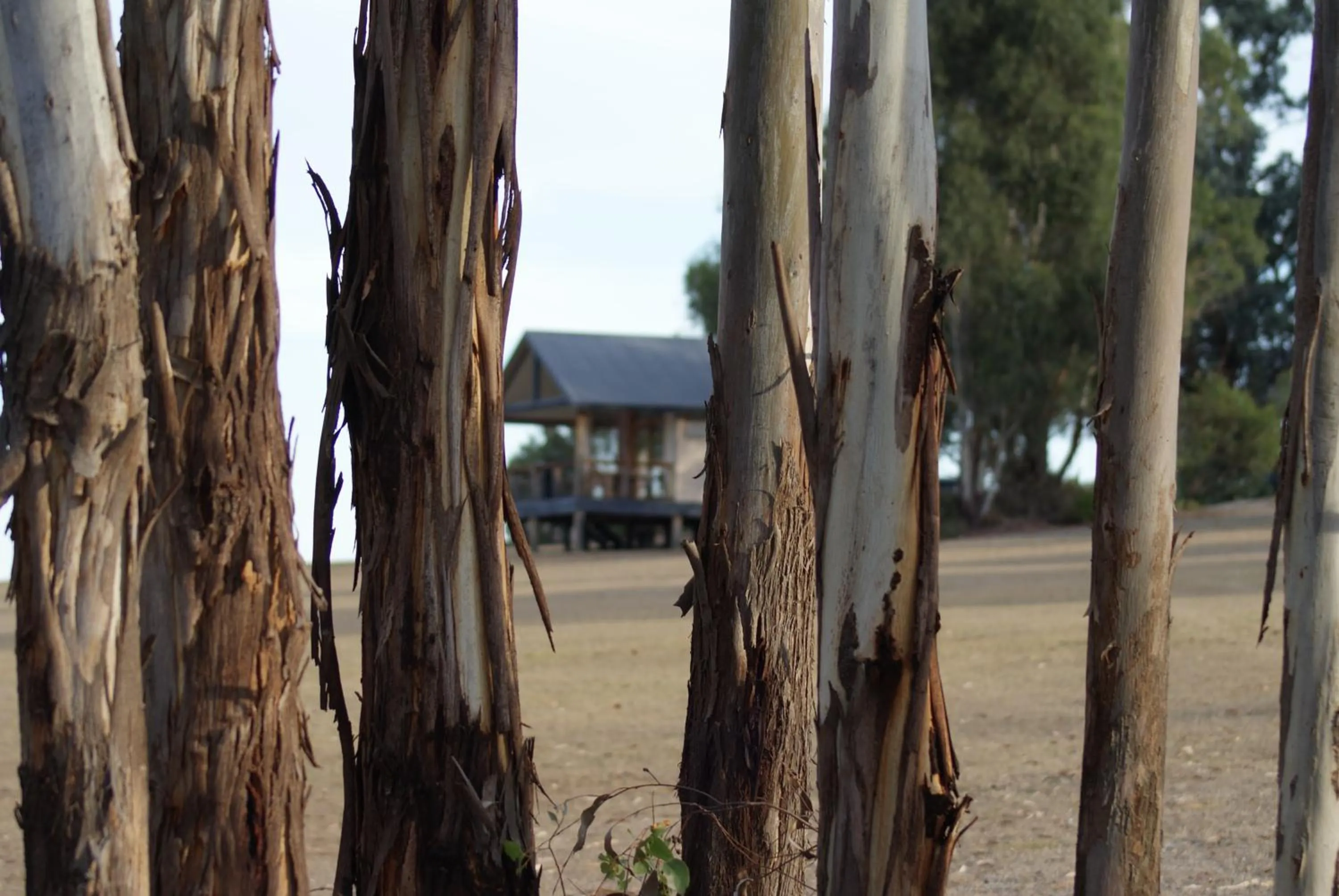 Property building in Yering Gorge Cottages