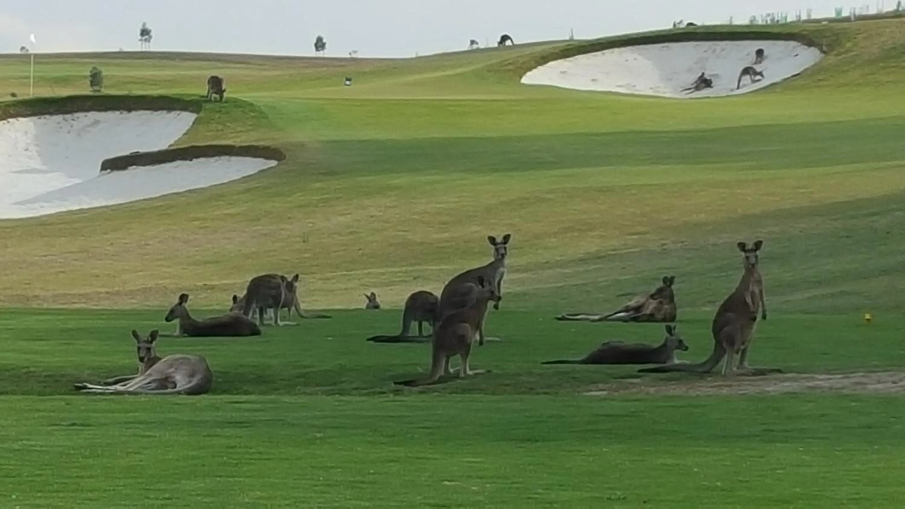 Fishing in Yering Gorge Cottages