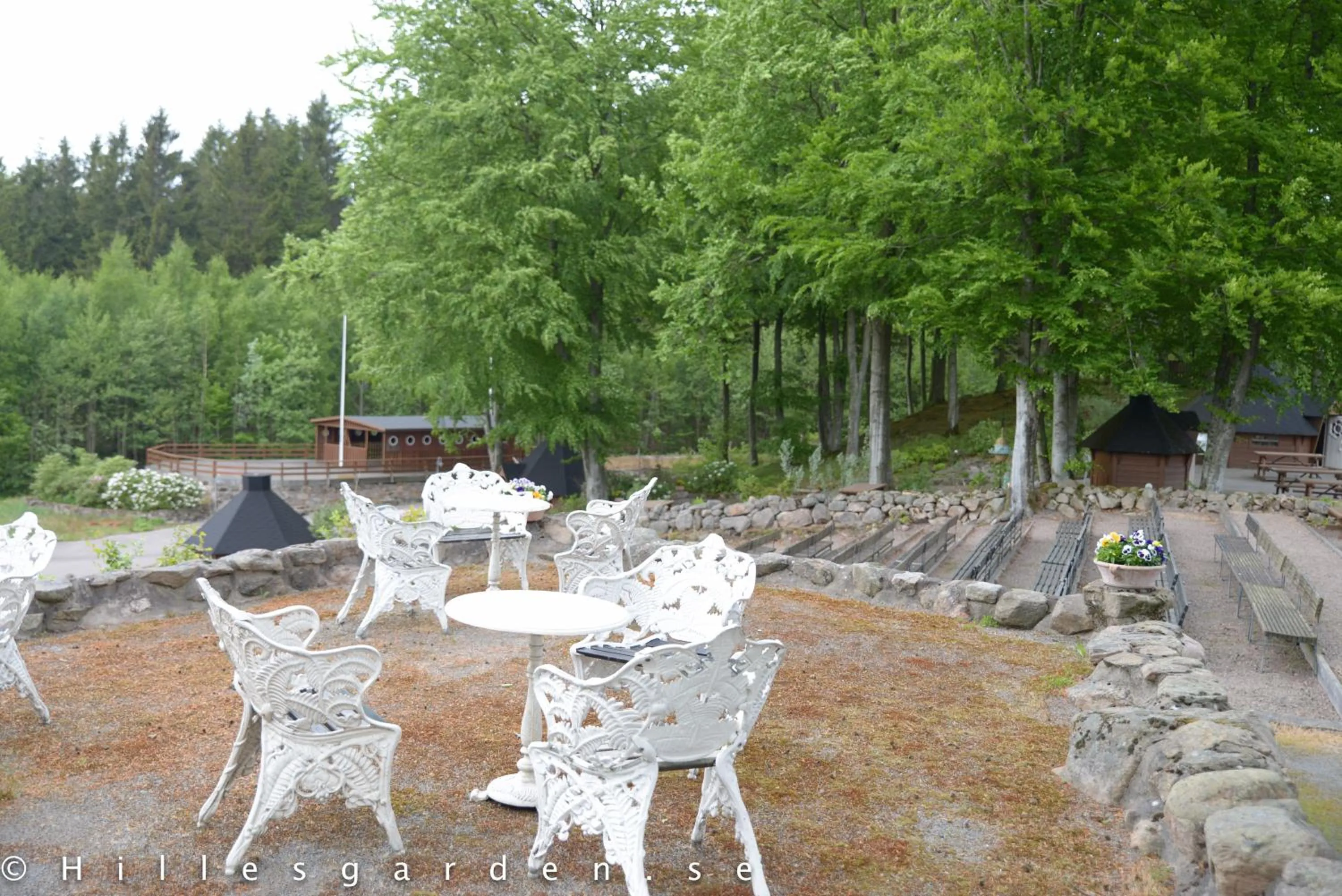 Natural landscape in Hillesgården