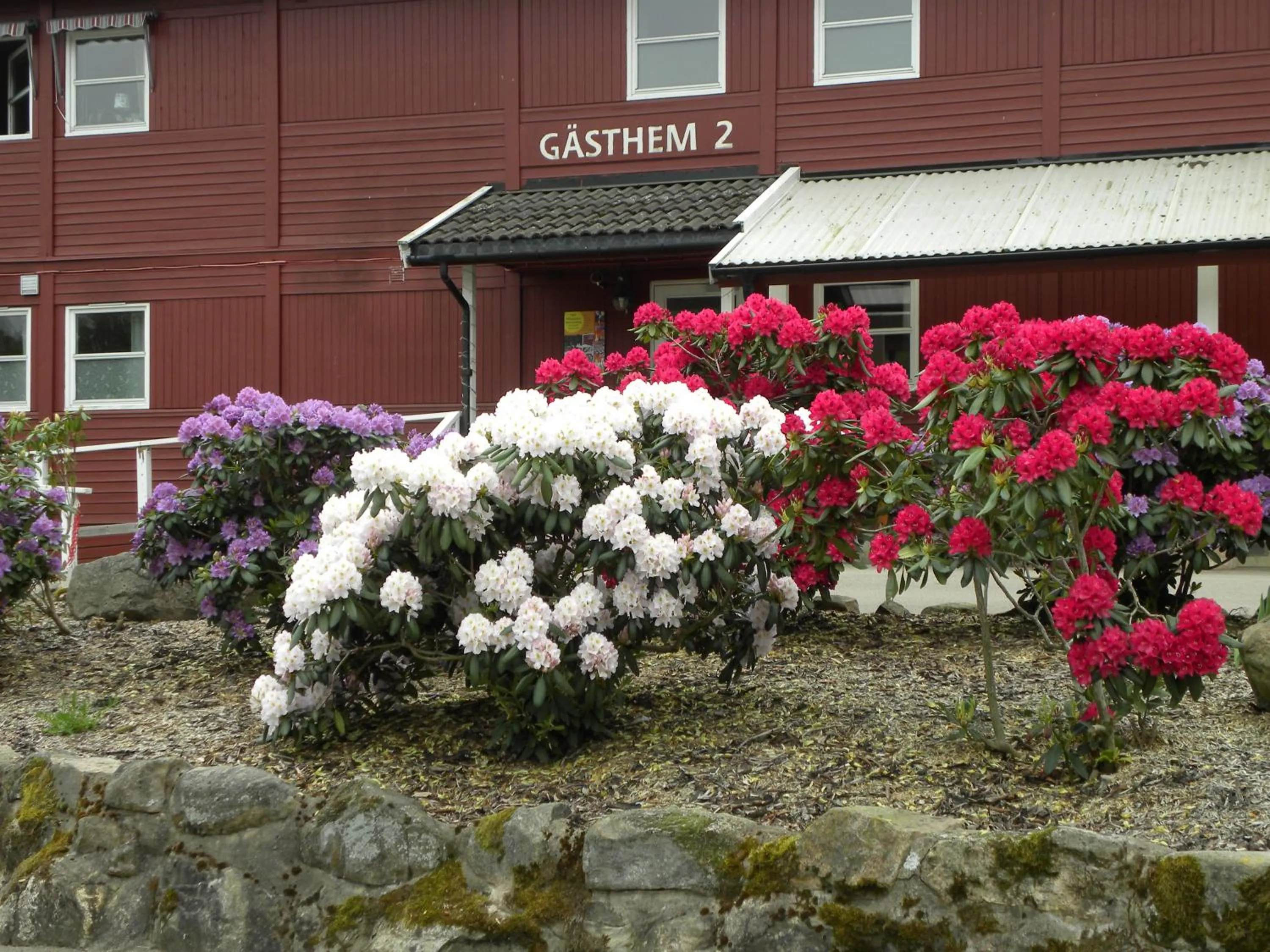 Facade/entrance in Hillesgården