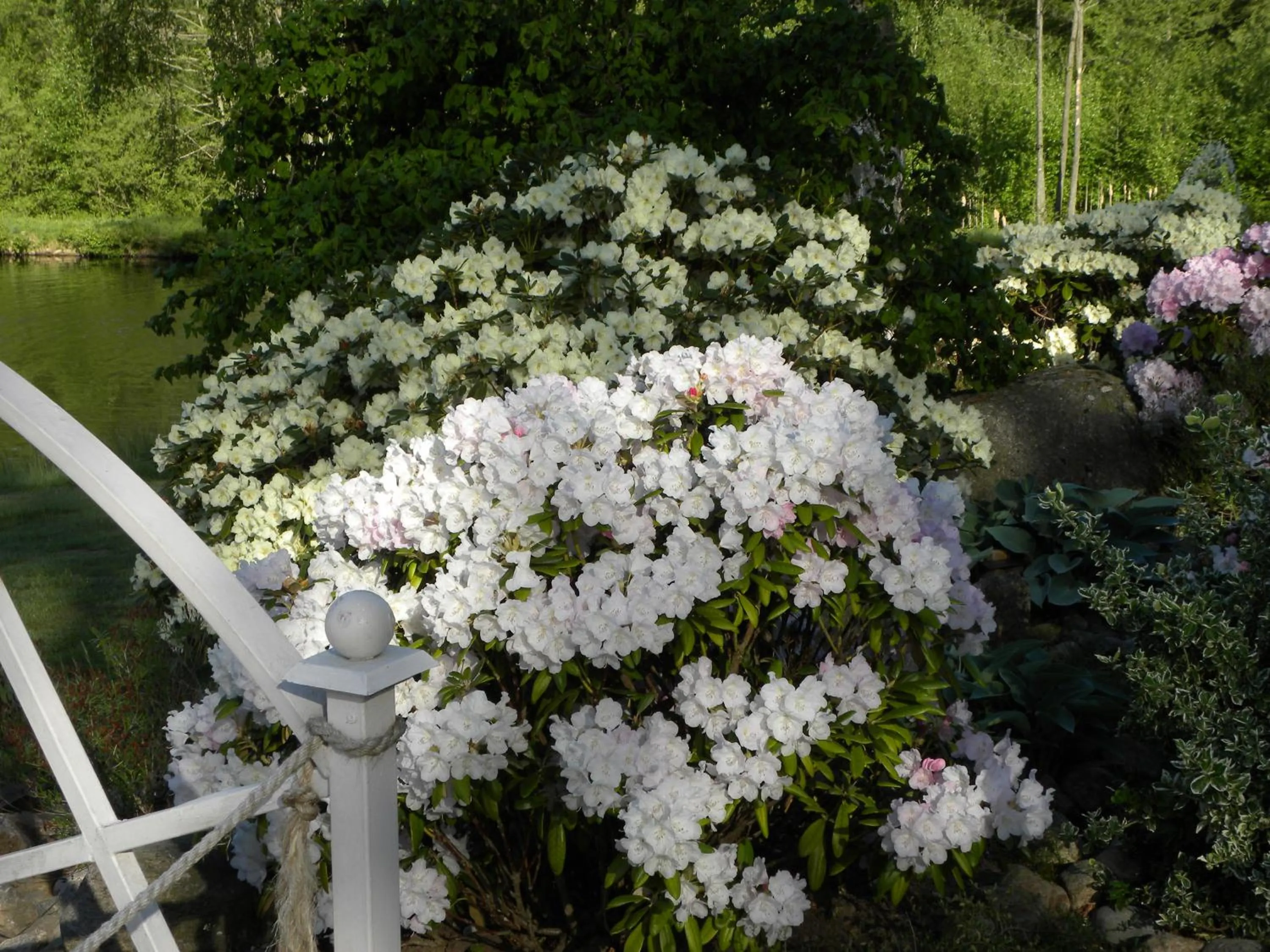 Natural landscape in Hillesgården