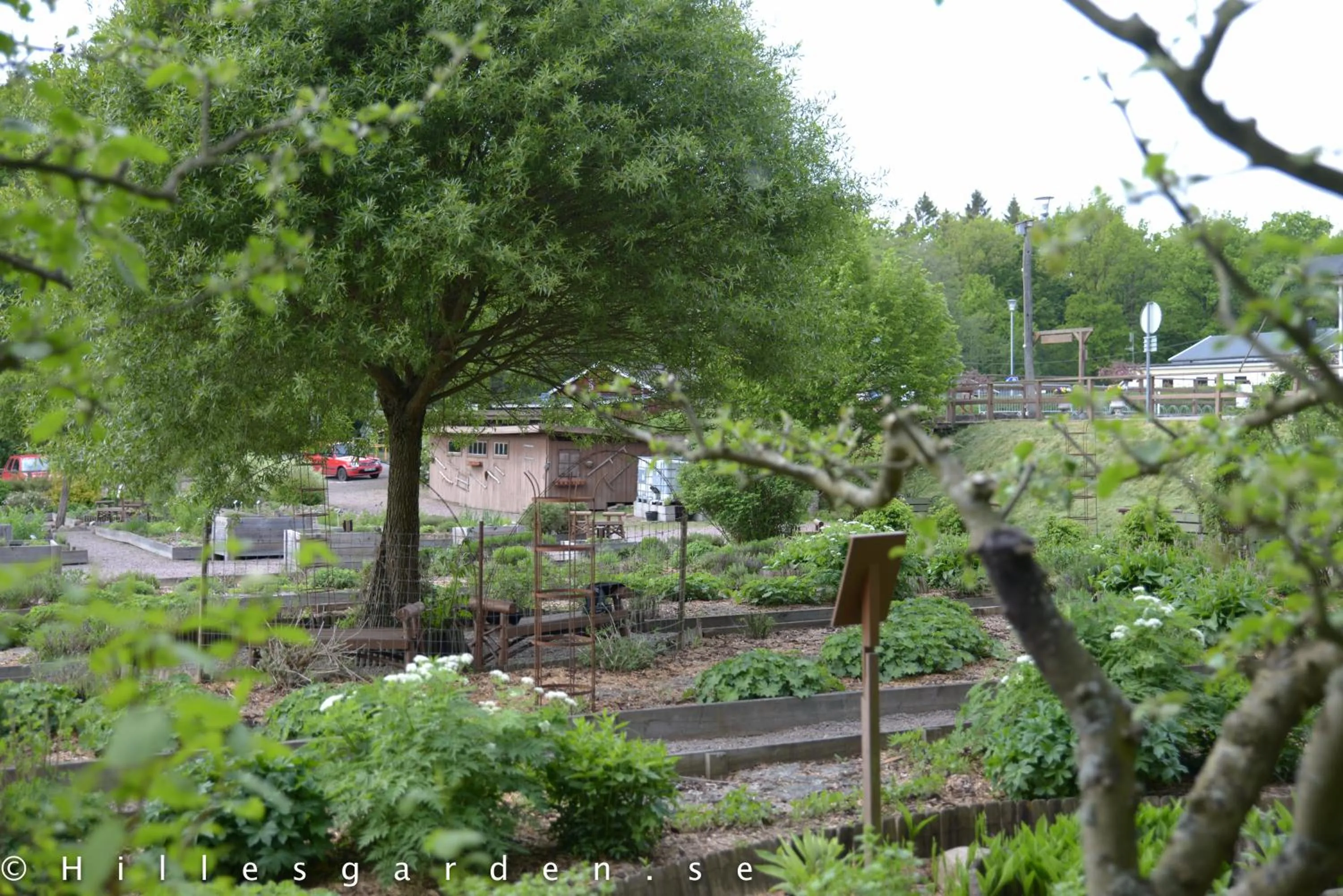Natural landscape in Hillesgården
