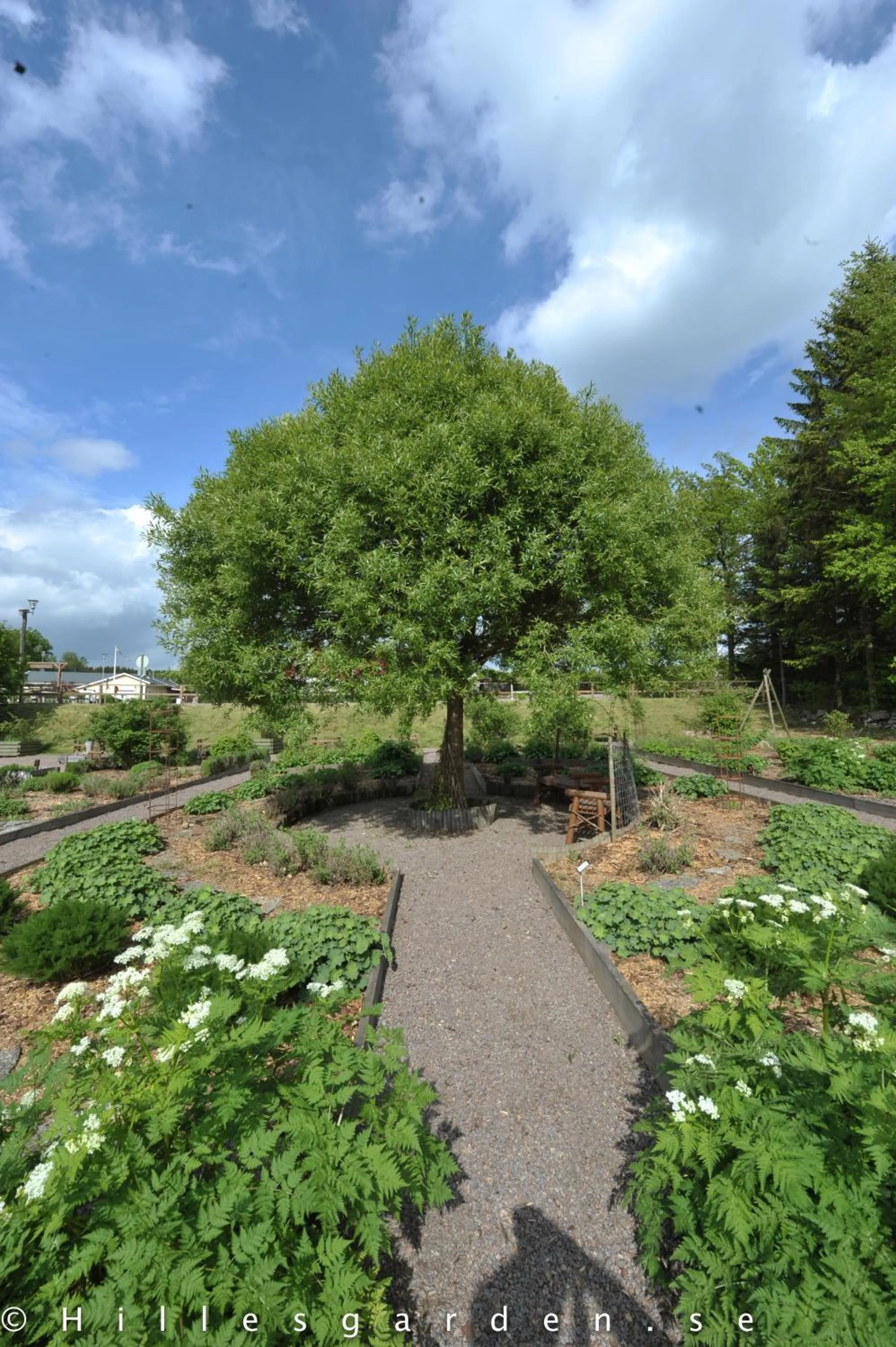 Natural landscape in Hillesgården