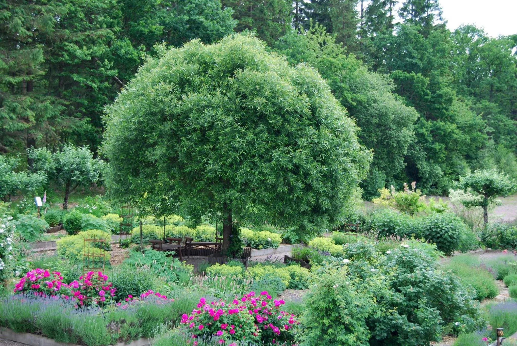 Property building in Hillesgården