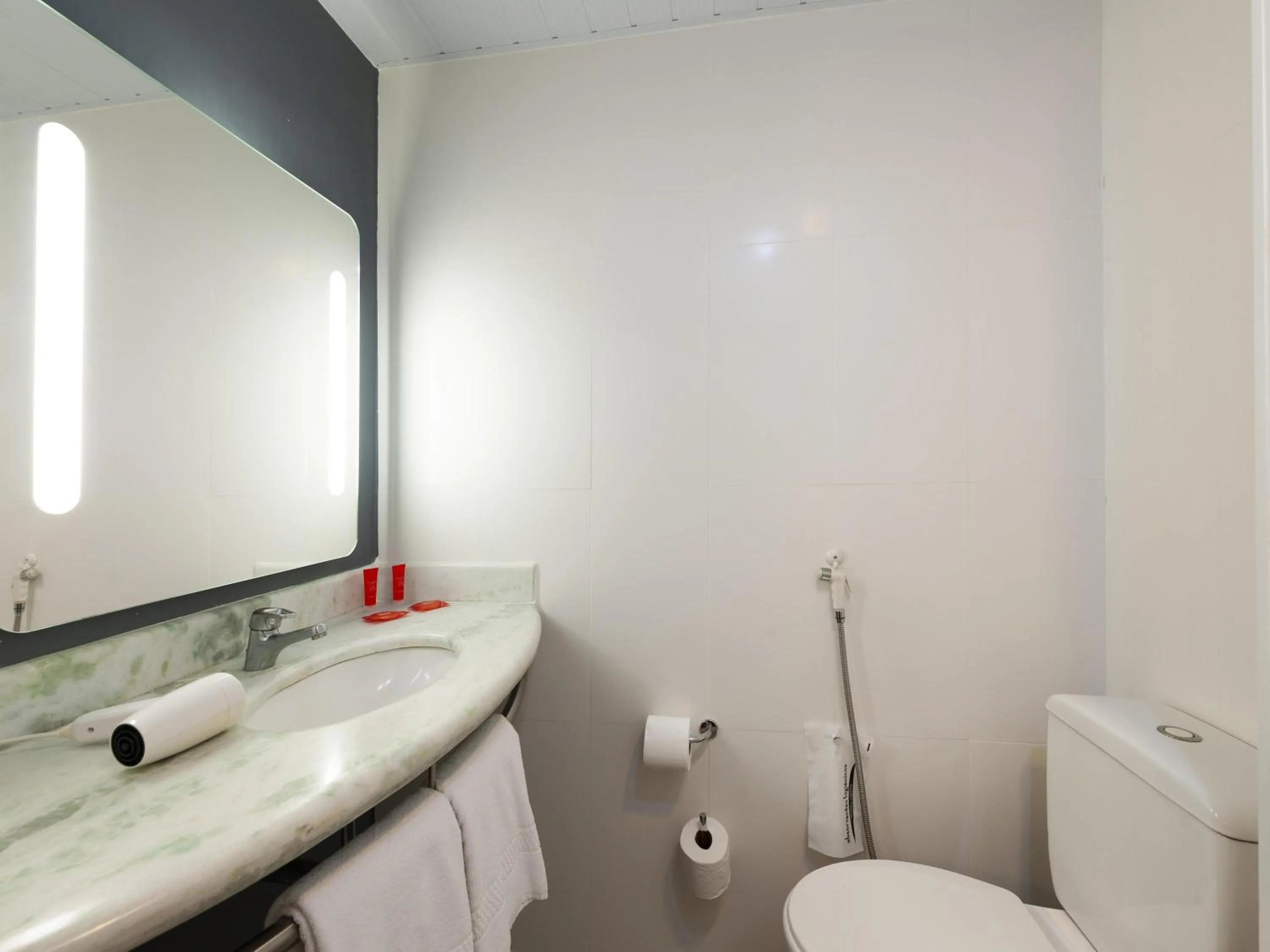 Bedroom in Ibis São Carlos