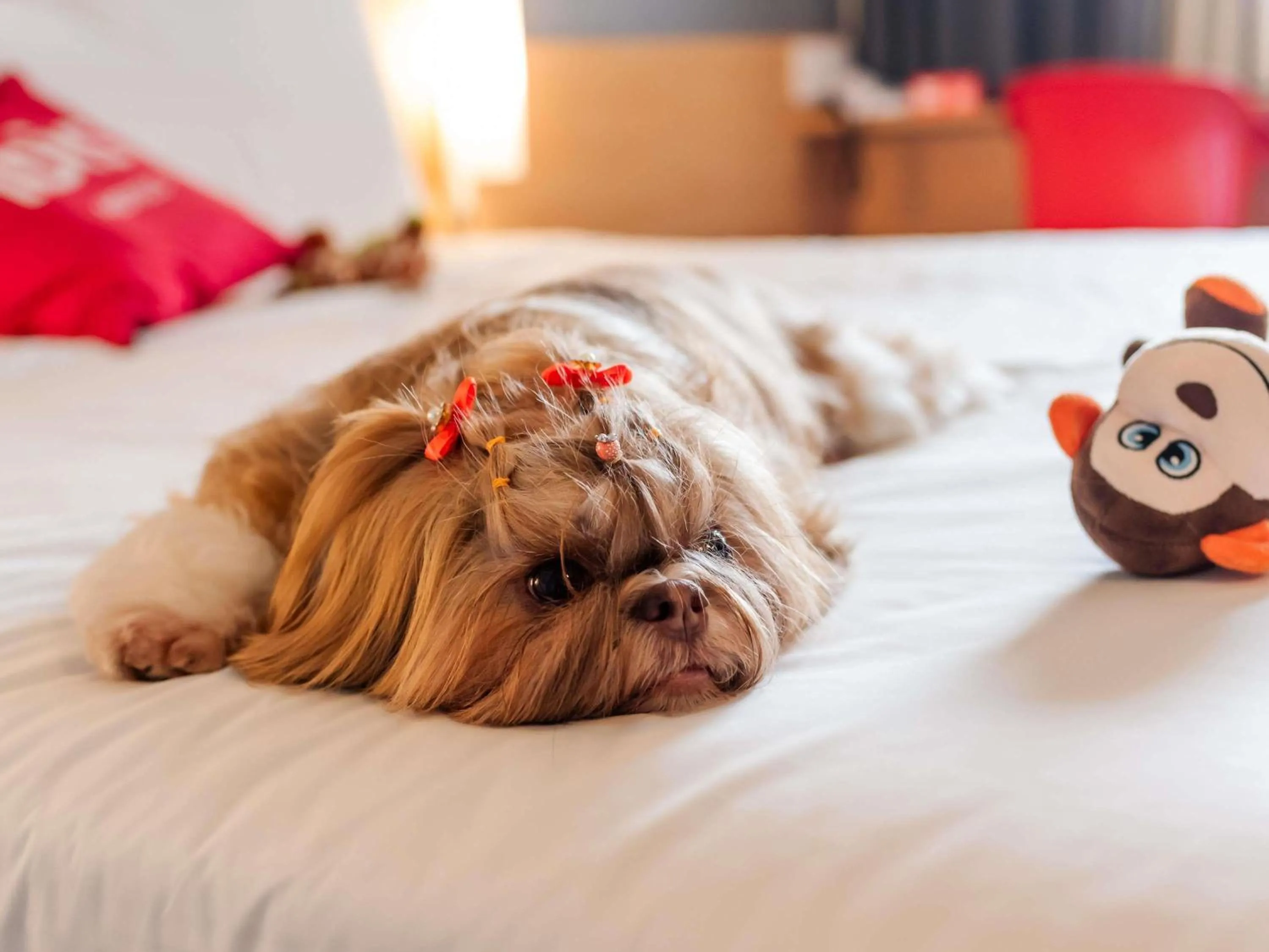 Bedroom, Bed in ibis Joinville