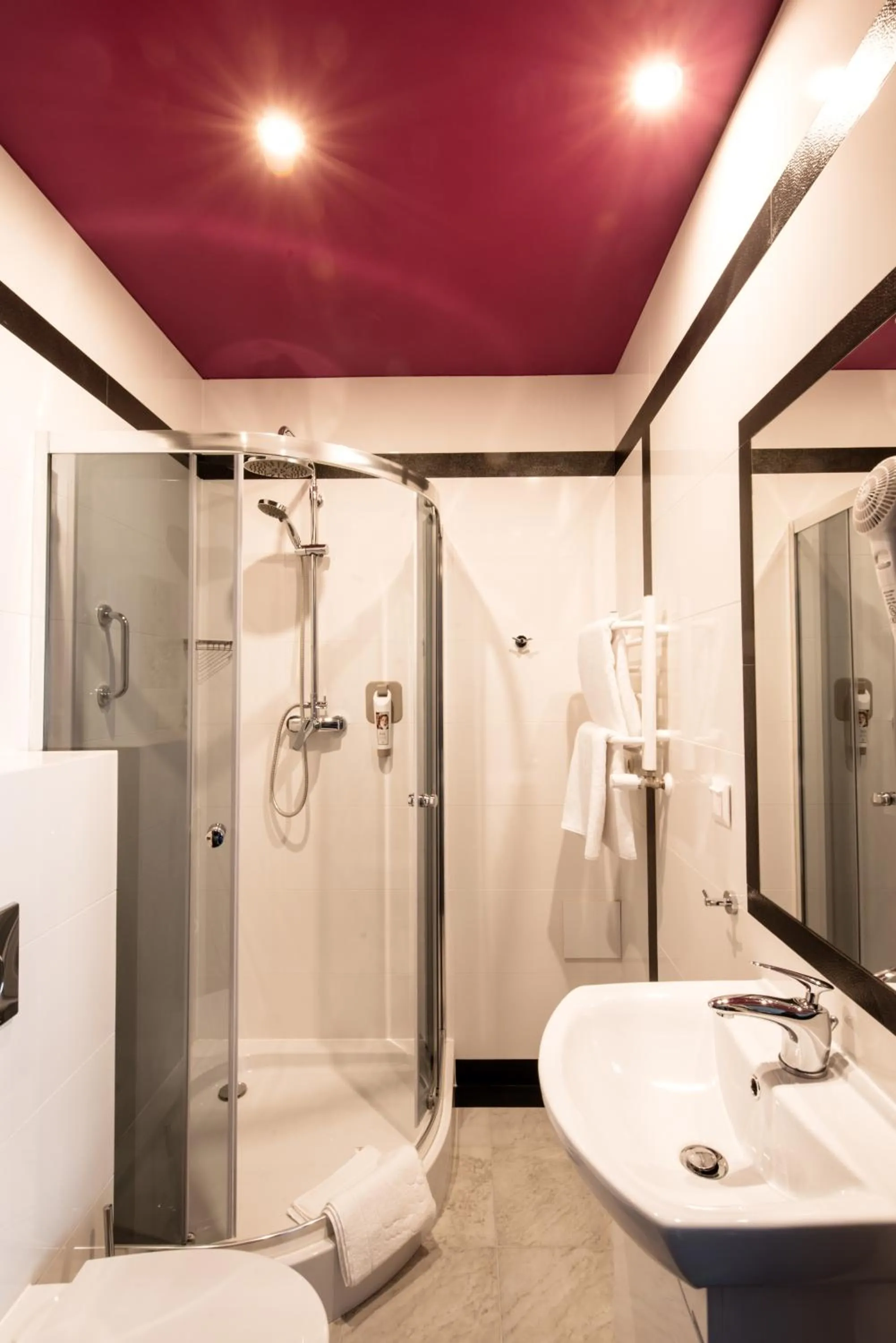 Other in Ibis Styles Gniezno Stare Miasto