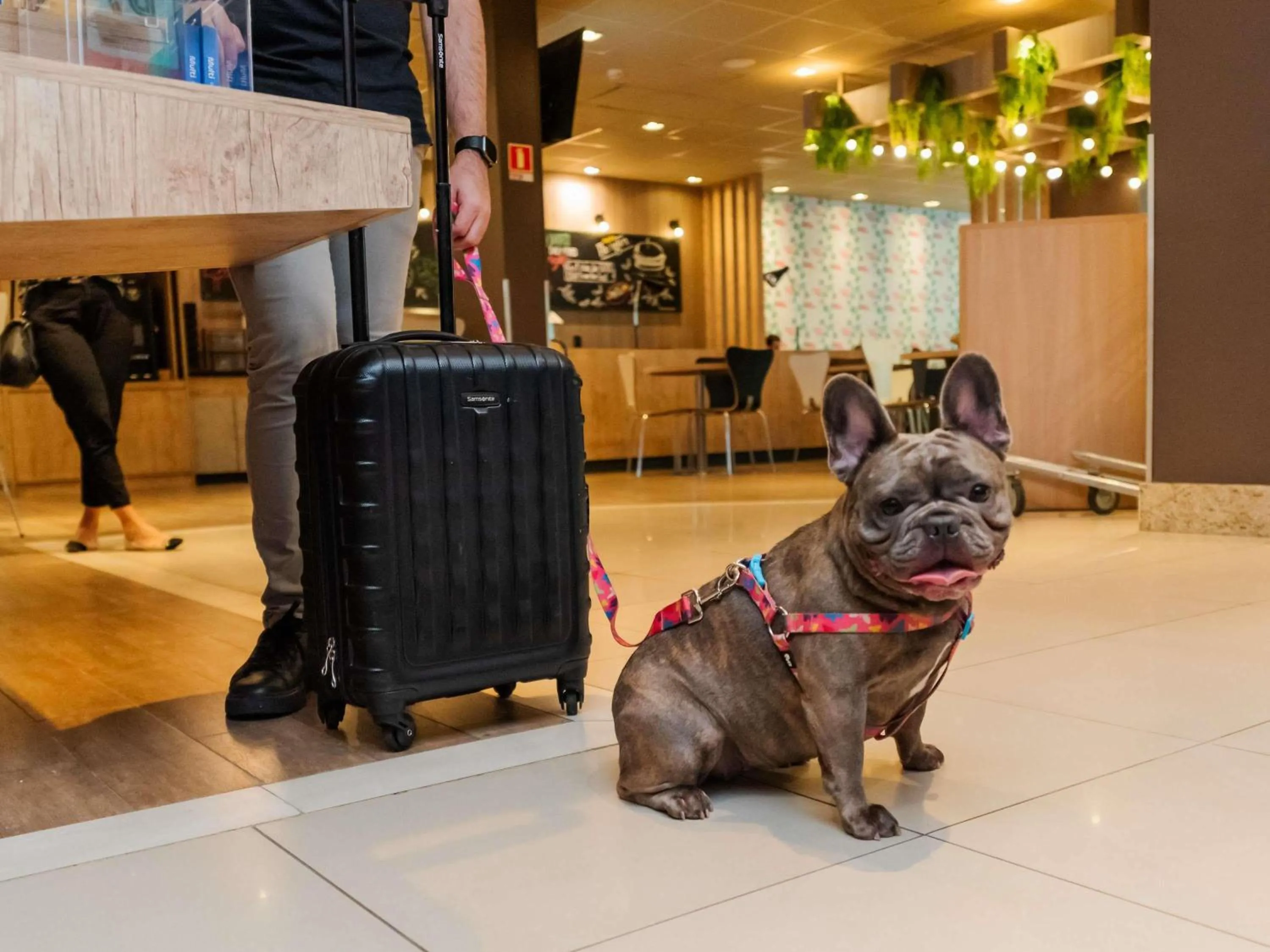 Property building in ibis Porto Alegre Moinhos de Vento