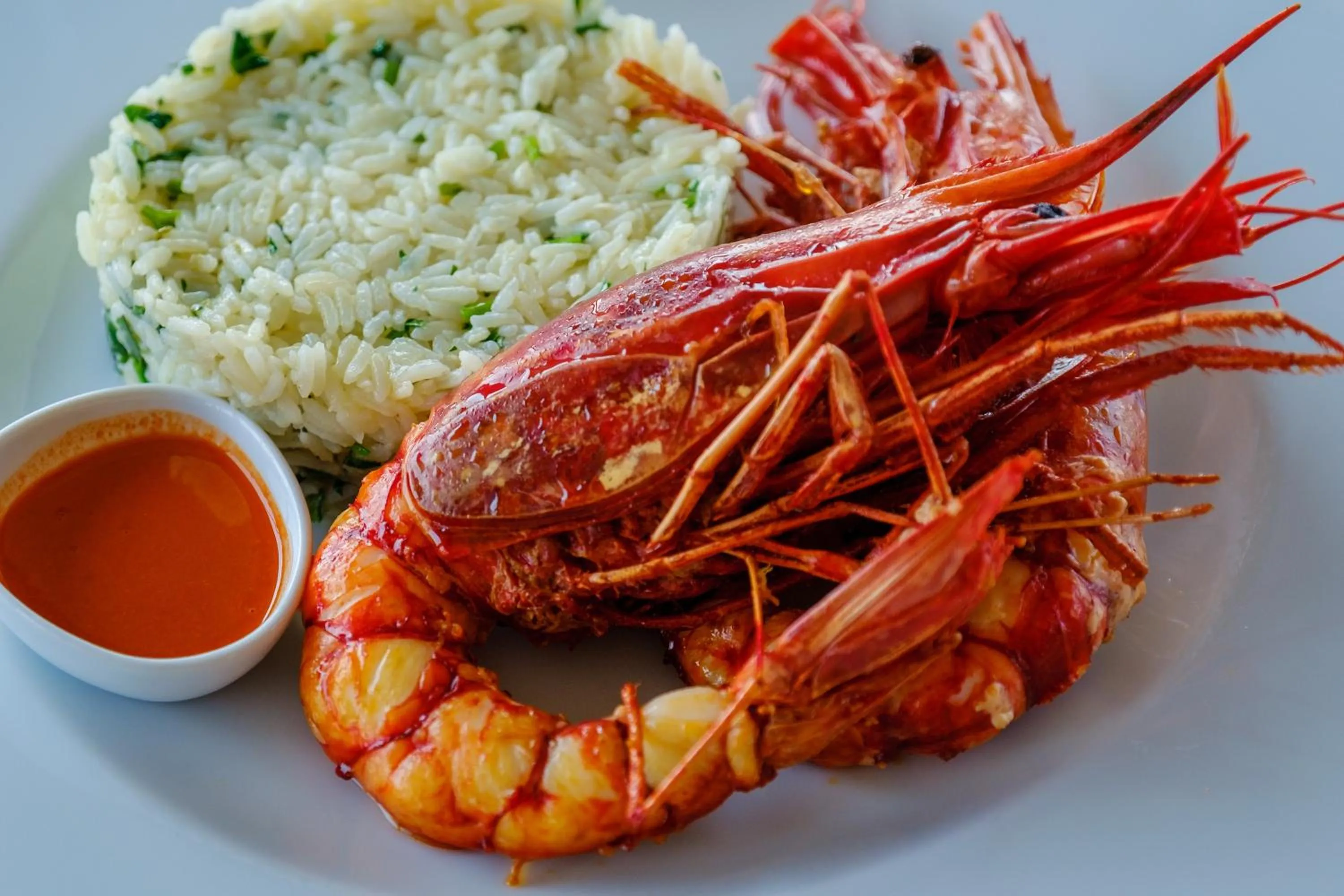 Herdade da Cortesia Hotel