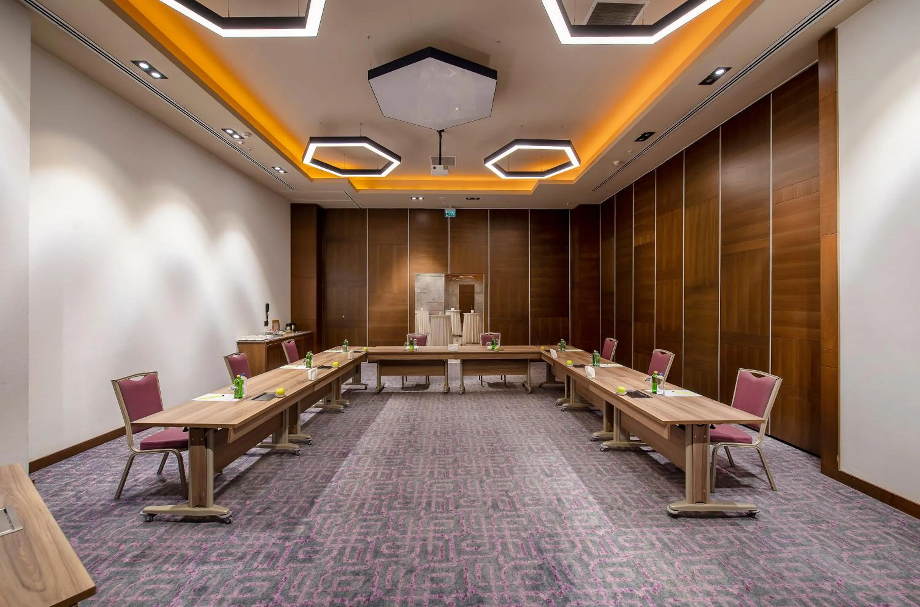 Meeting/conference room in Holiday Inn Kayseri - Duvenonu by IHG
