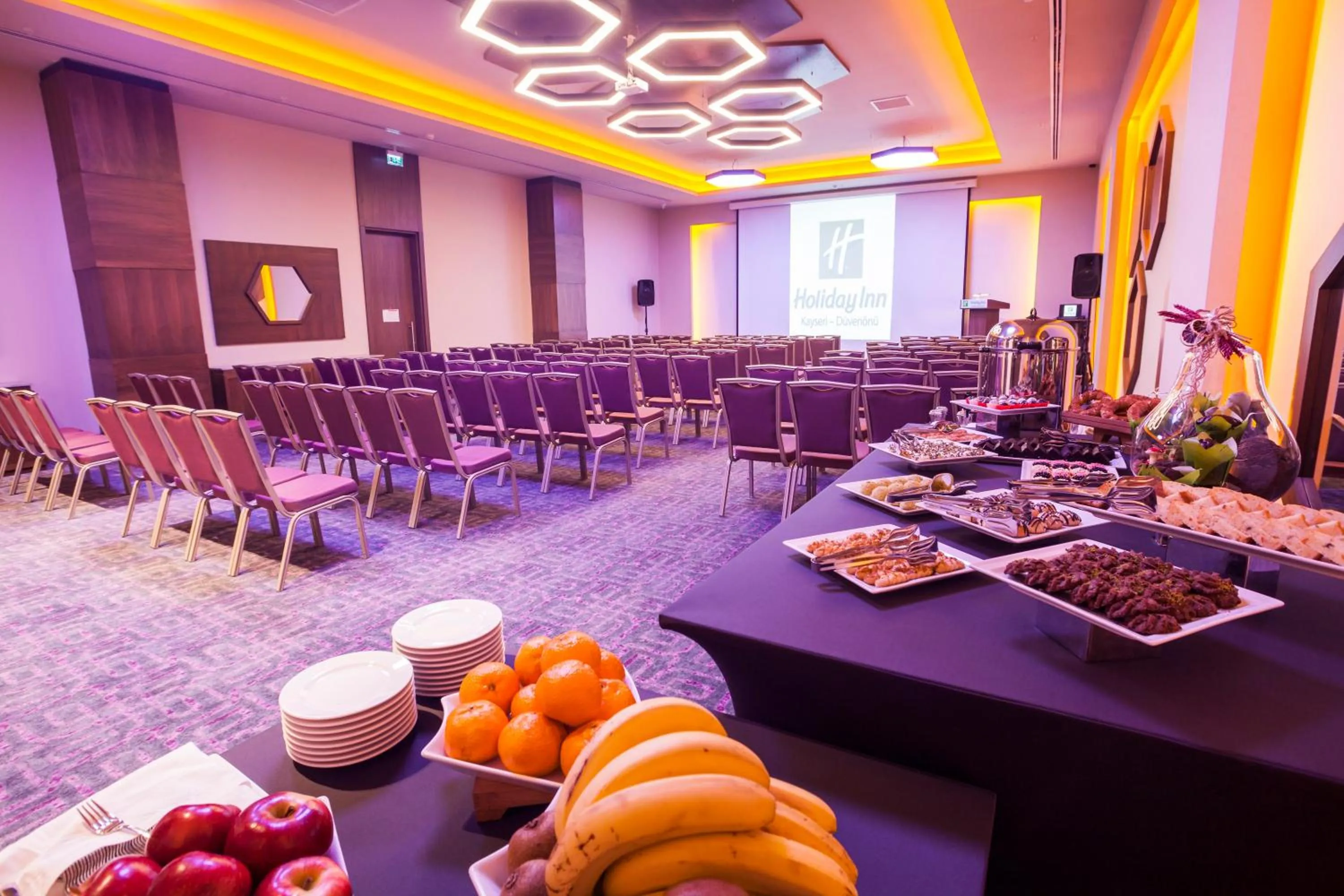 Meeting/conference room in Holiday Inn Kayseri - Duvenonu by IHG