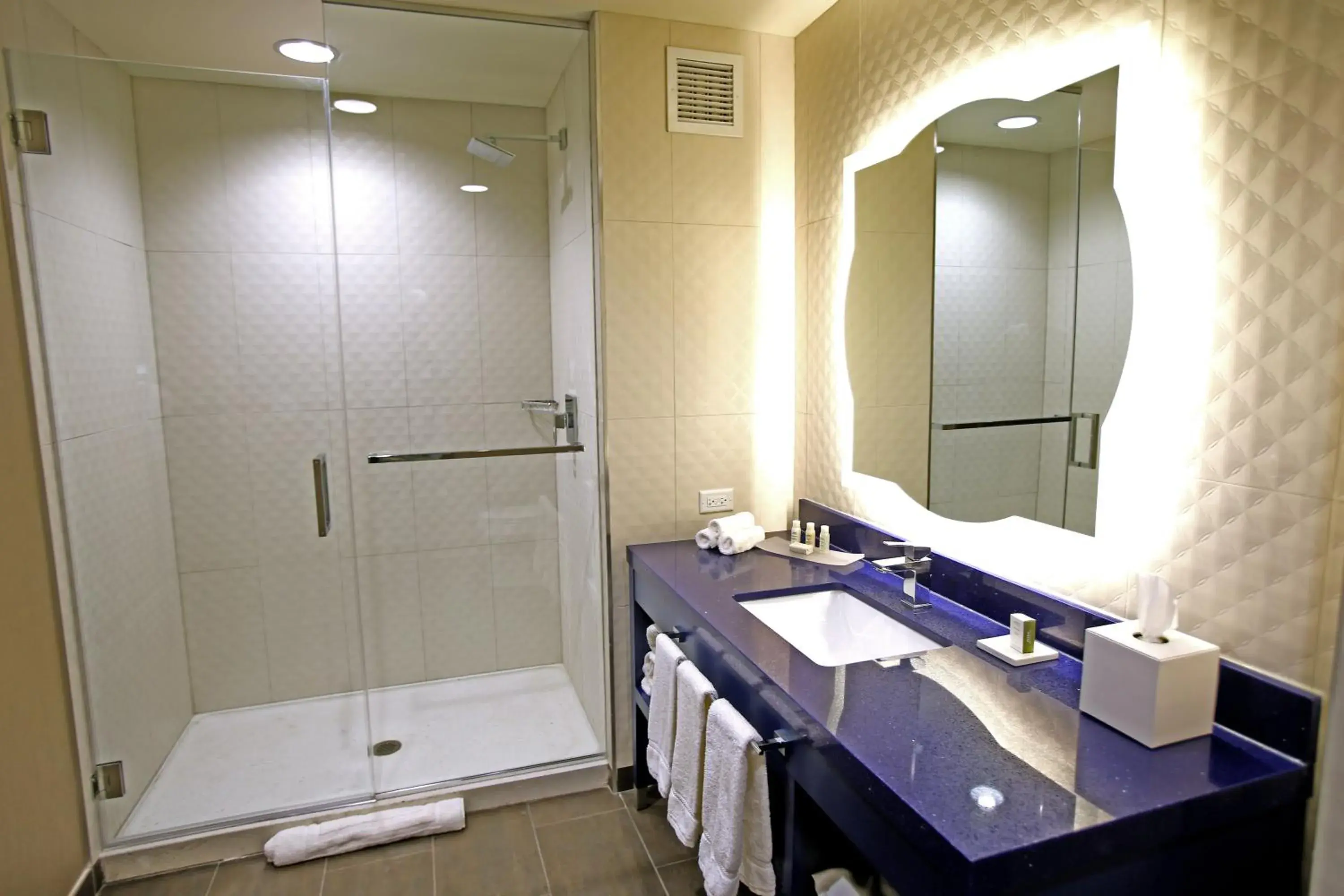 Deluxe King Room - Mobility Access Tan Shower/Non-Smoking in Hotel Indigo Naperville Riverwalk by IHG Deluxe King Room - Mobility Access Tan Shower/Non-Smoking in Hotel Indigo Naperville Riverwalk by IHG