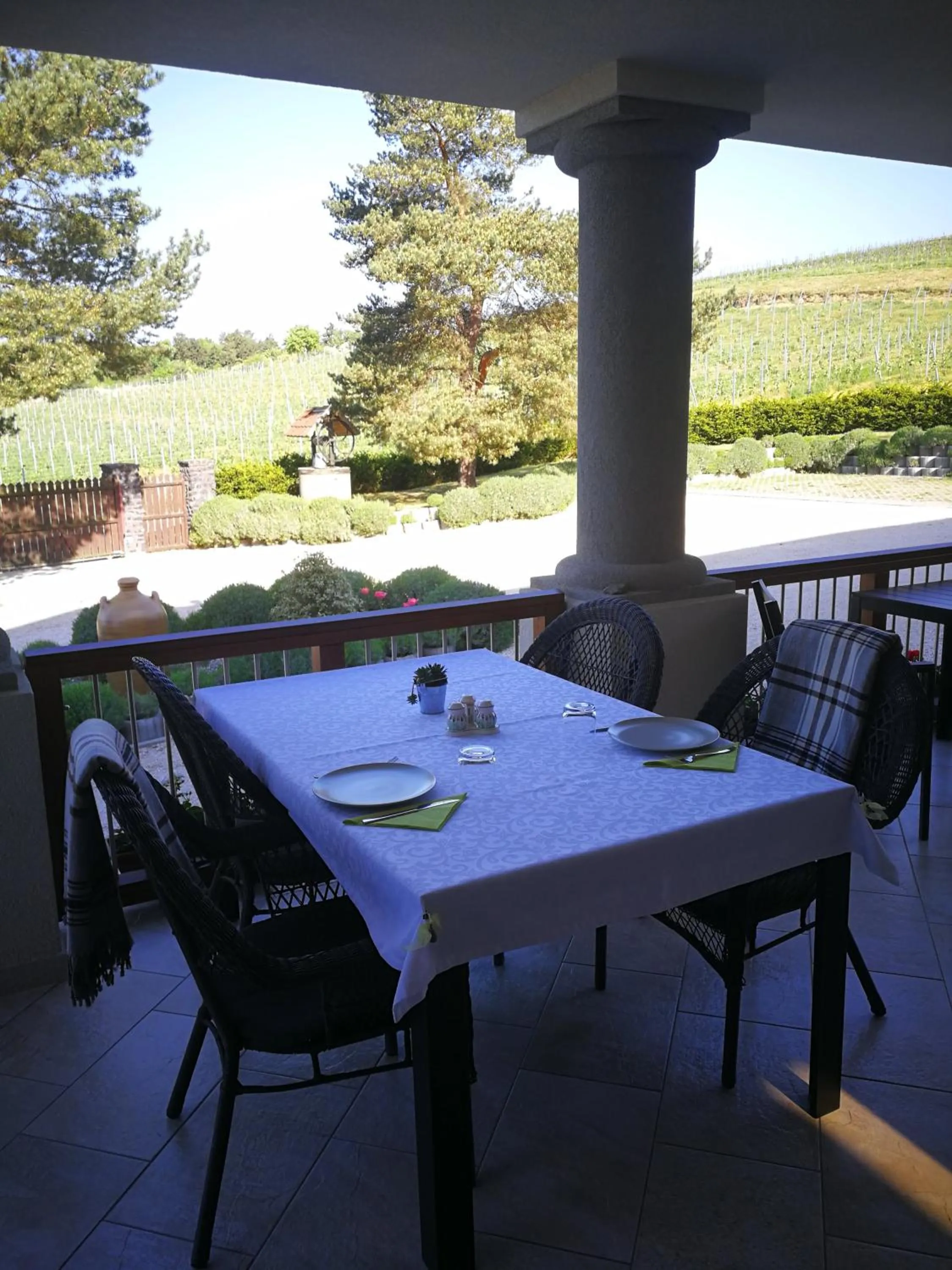 Balcony/Terrace in Villa Tolnay Vendégház