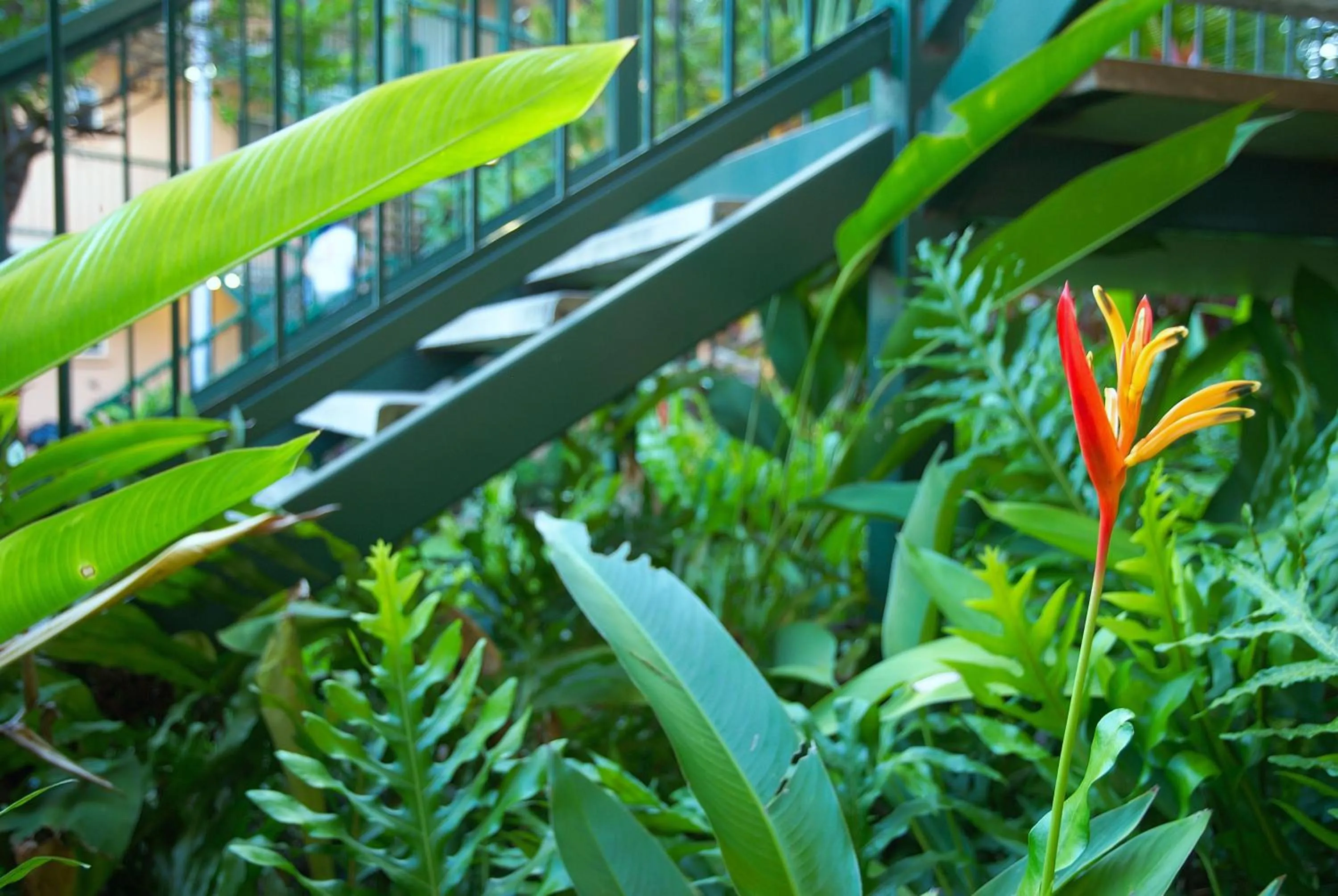 Other in Alatai Holiday Apartments