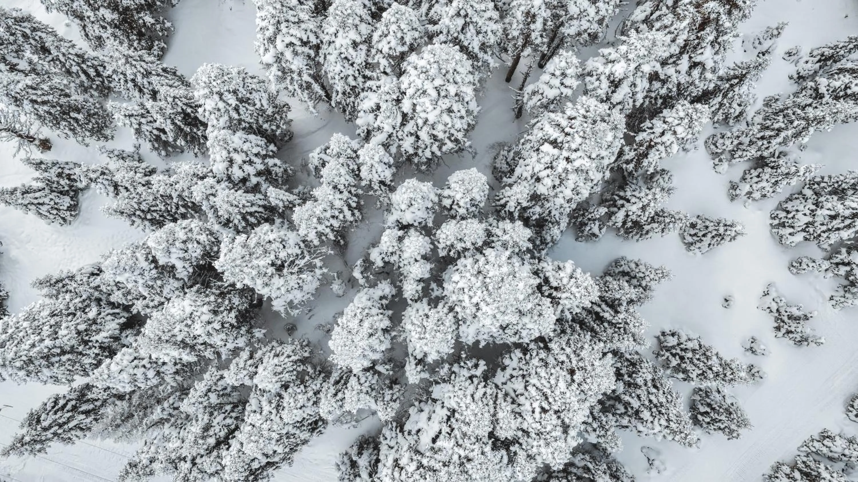 Trendlife Hotels Uludağ ALL INCLUSIVE