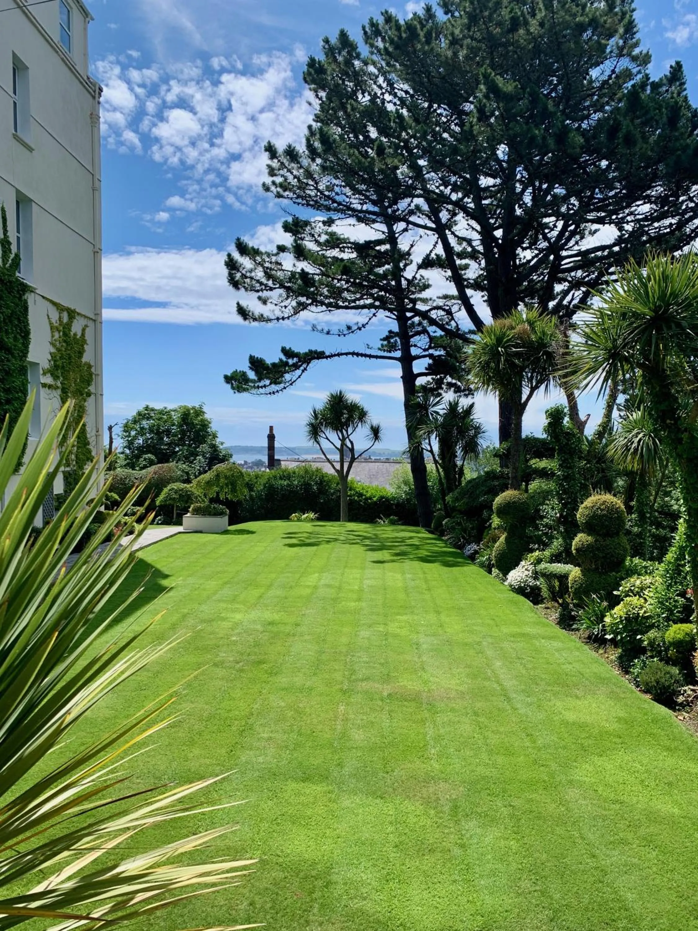 Garden in The Park Hotel