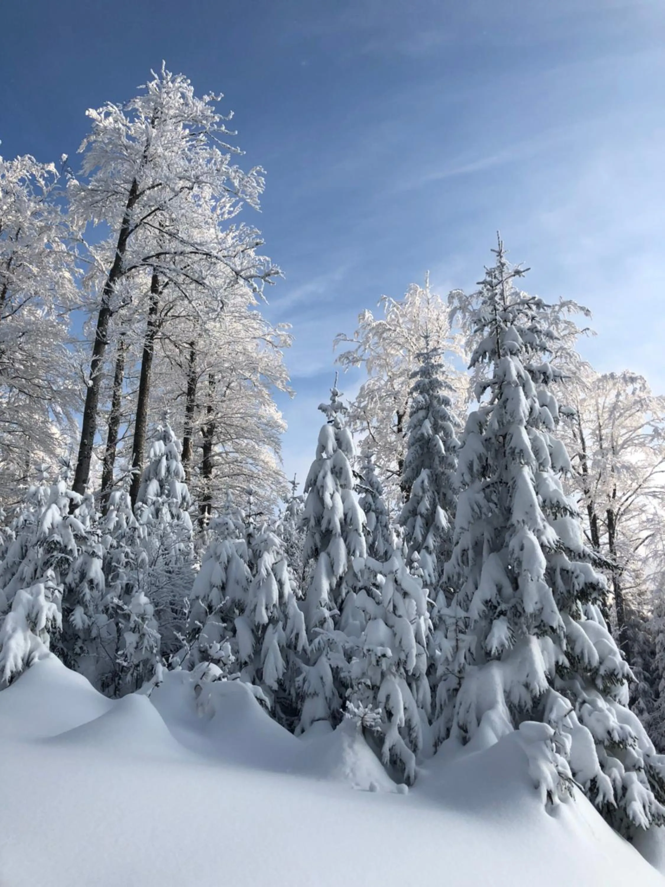 Breakfast in Hotel Bajt Maribor