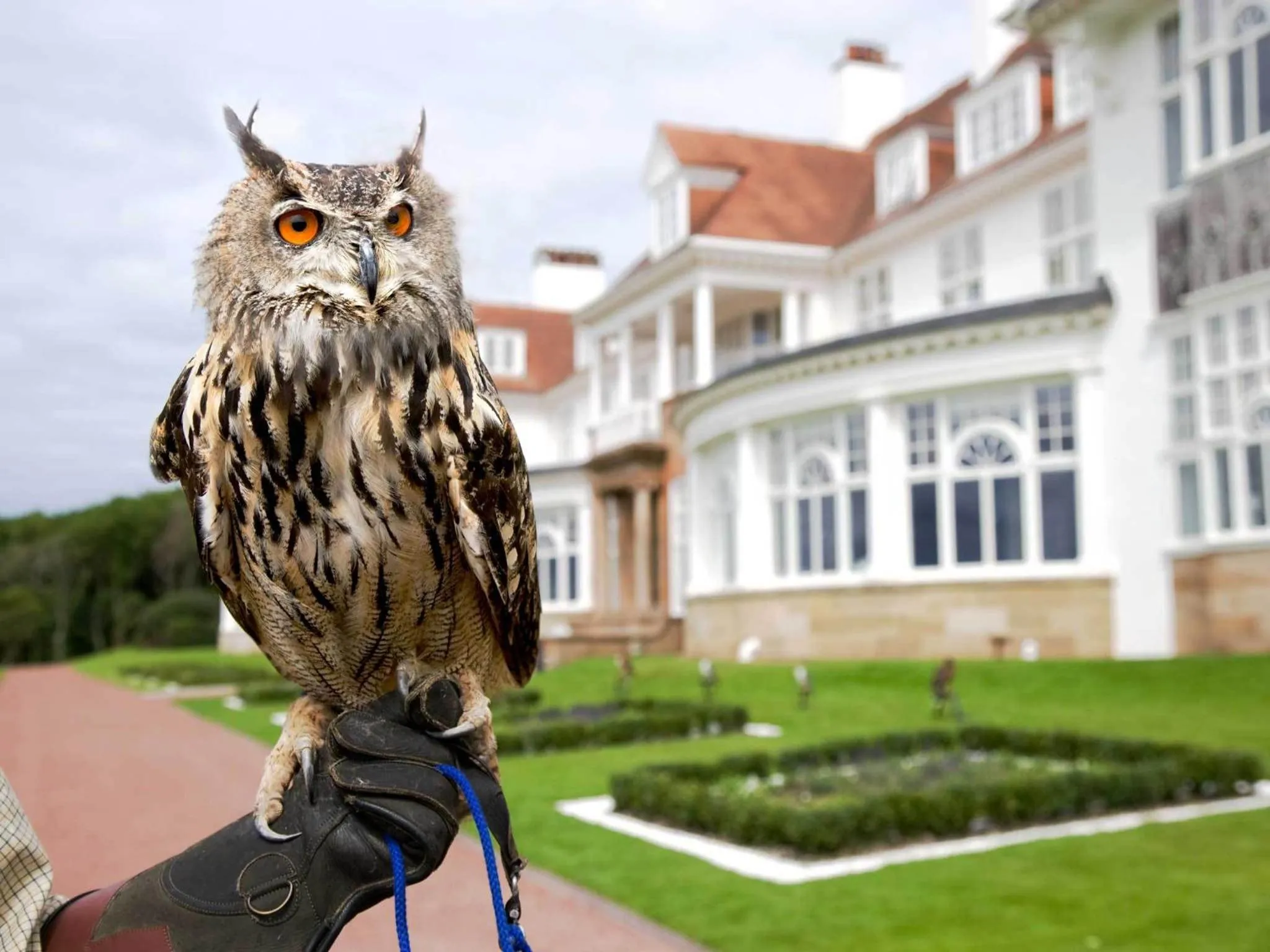 Other in Trump Turnberry