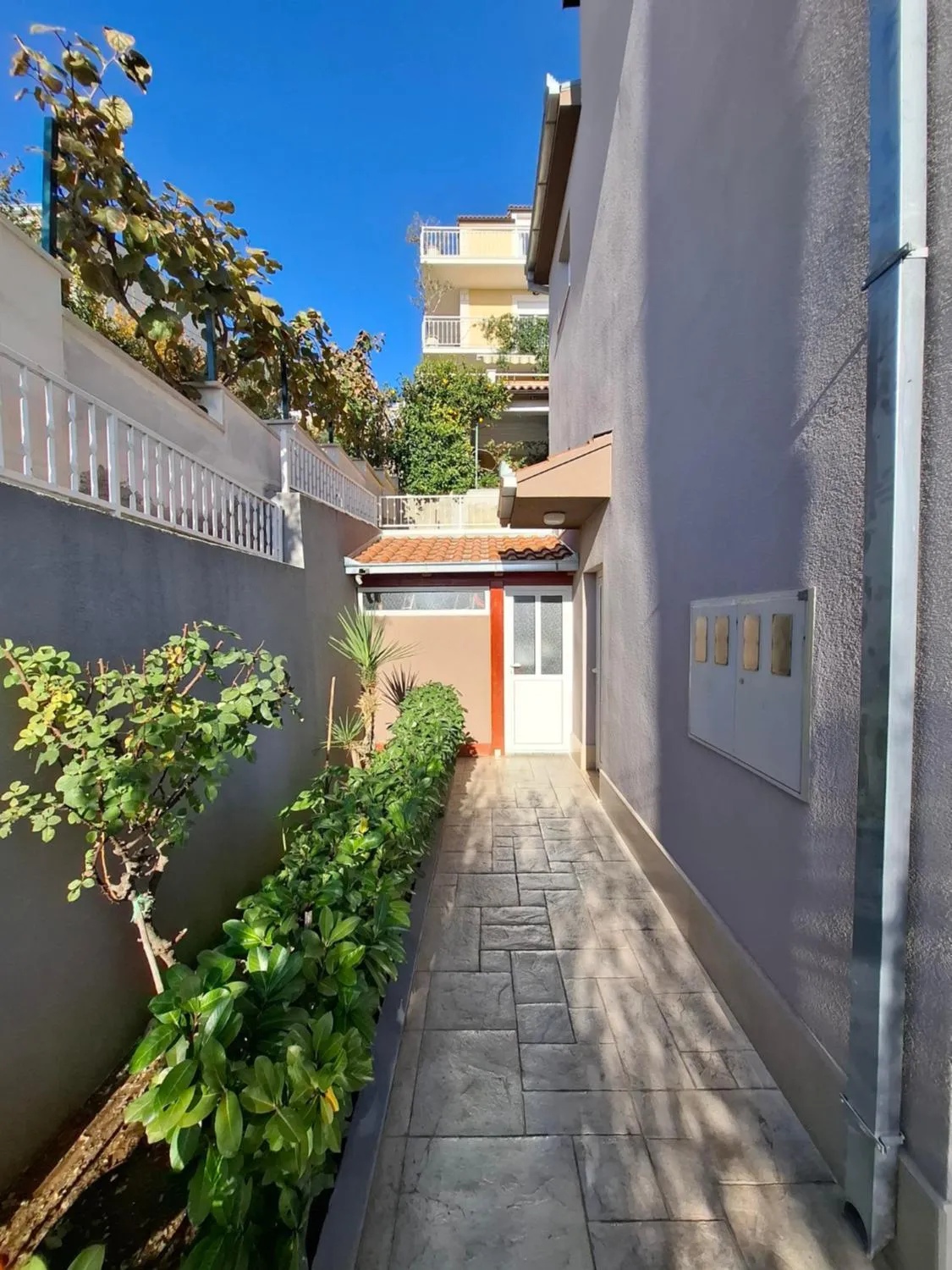 Apartment Ante