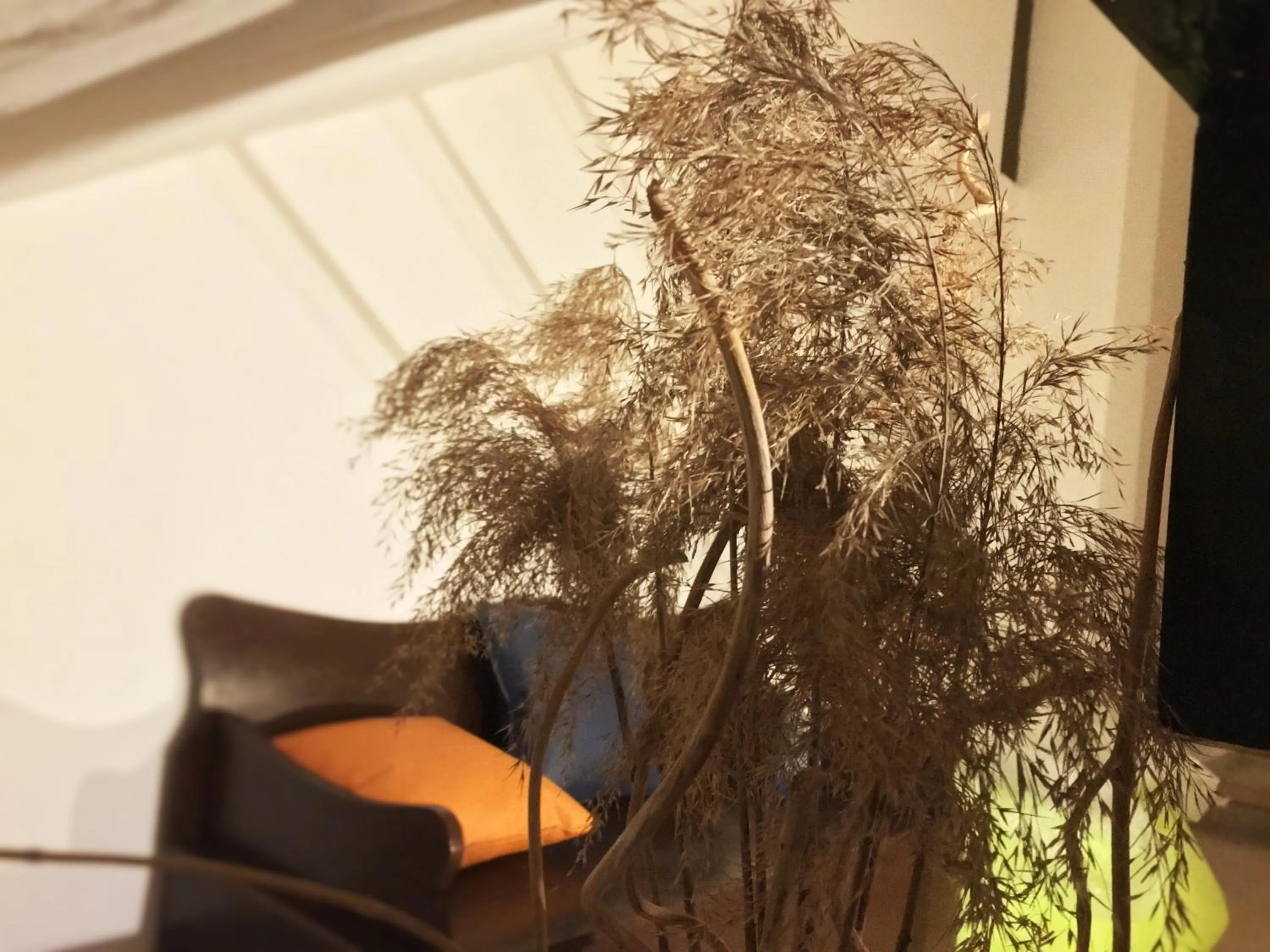 Communal lounge/ TV room in The Rock Hostel