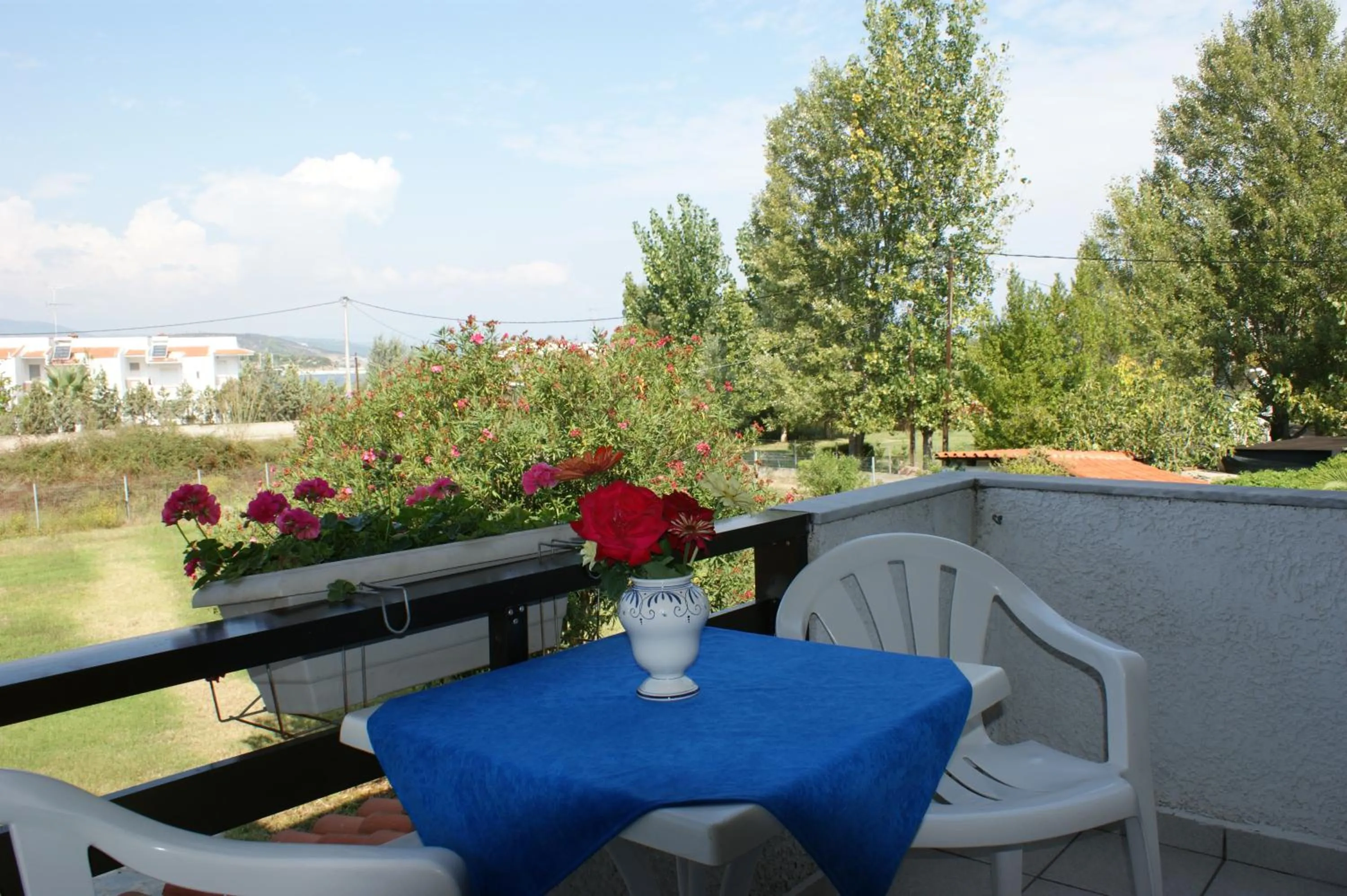 Villa Iris Studios