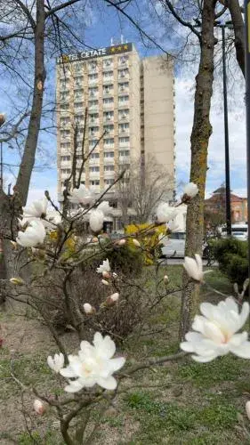 Hotel Cetate Hotel Cetate
