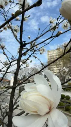 Hotel Cetate Hotel Cetate