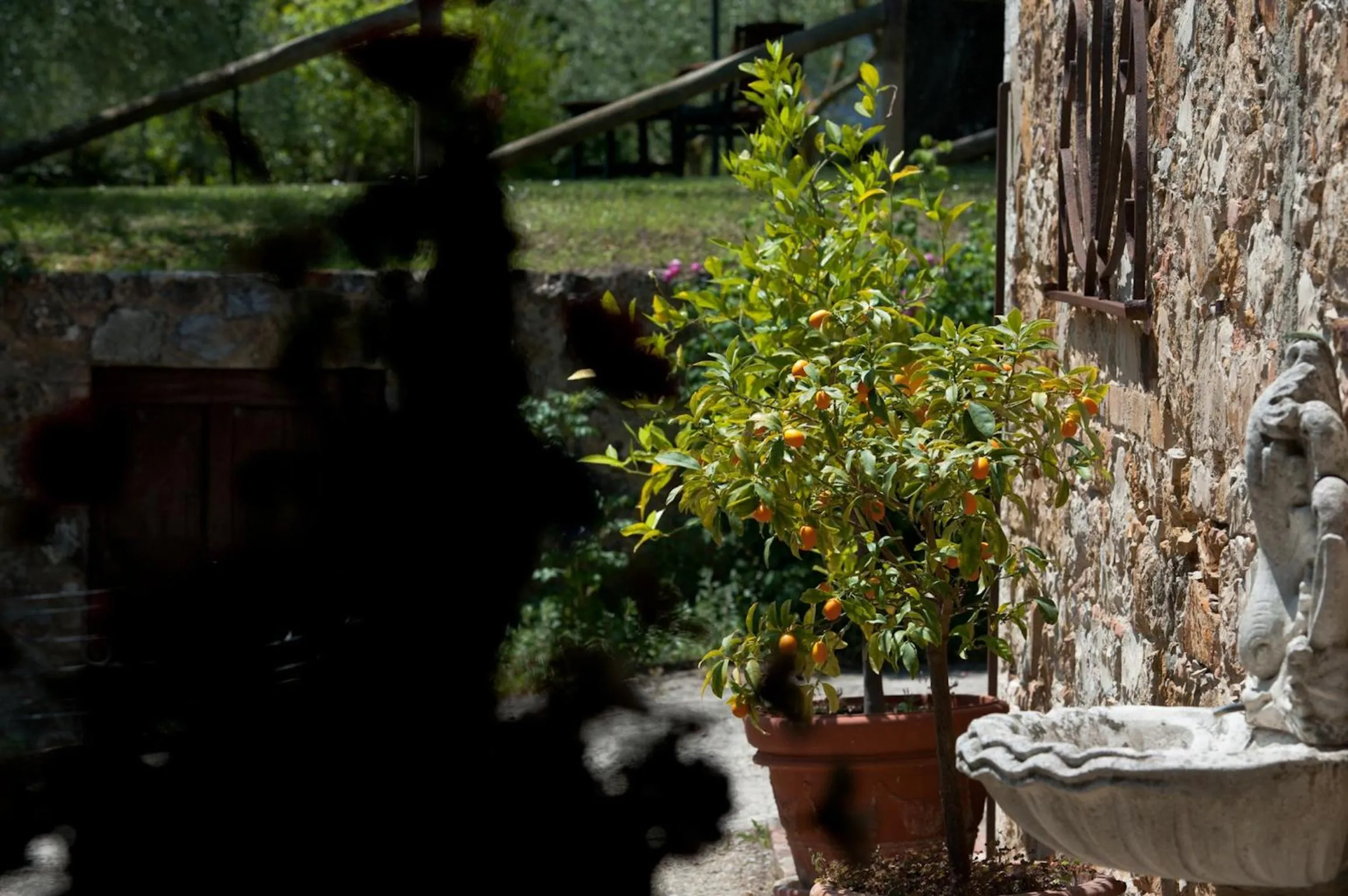 Facade/entrance in SARNA Residence