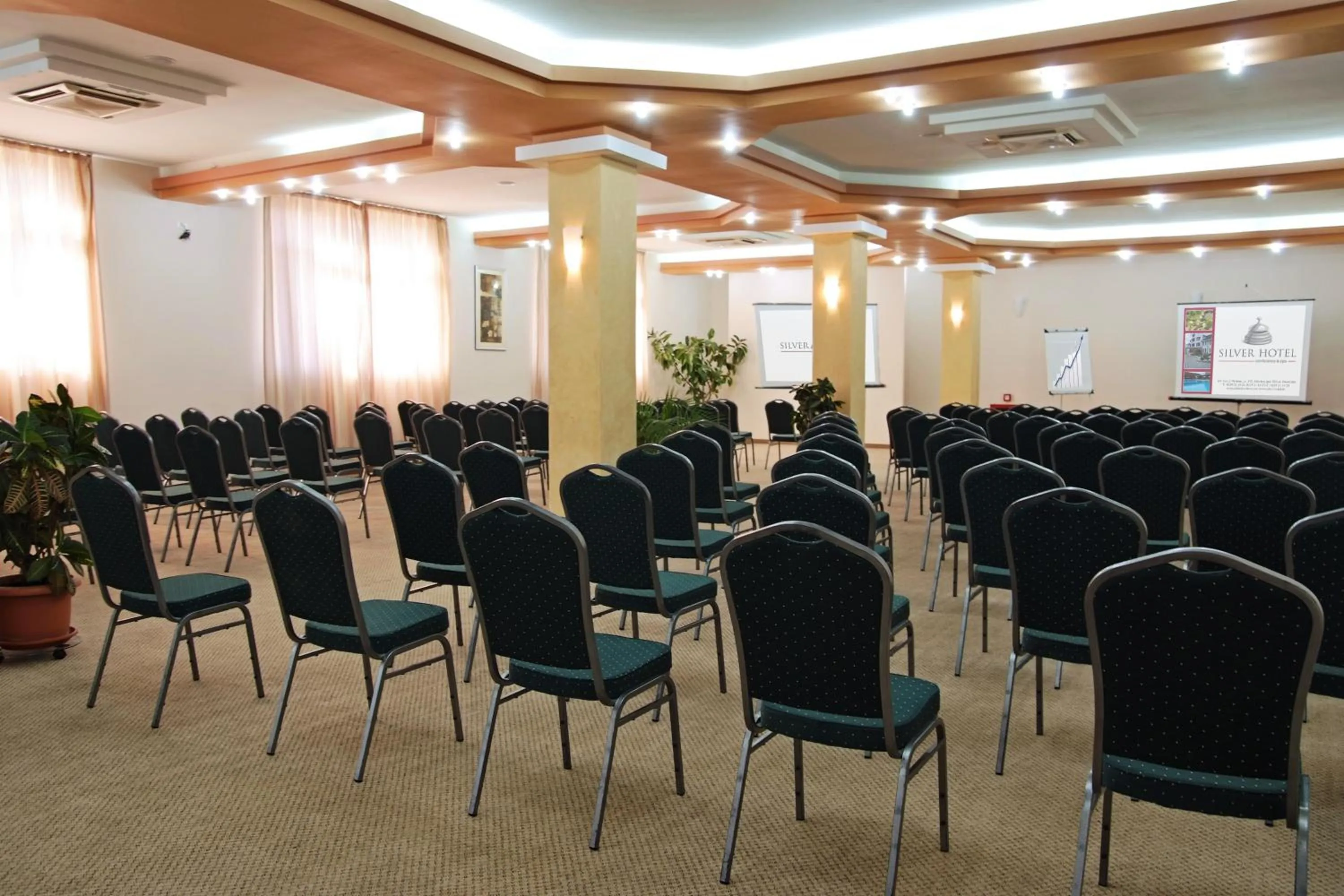 Business facilities in Silver Hotel