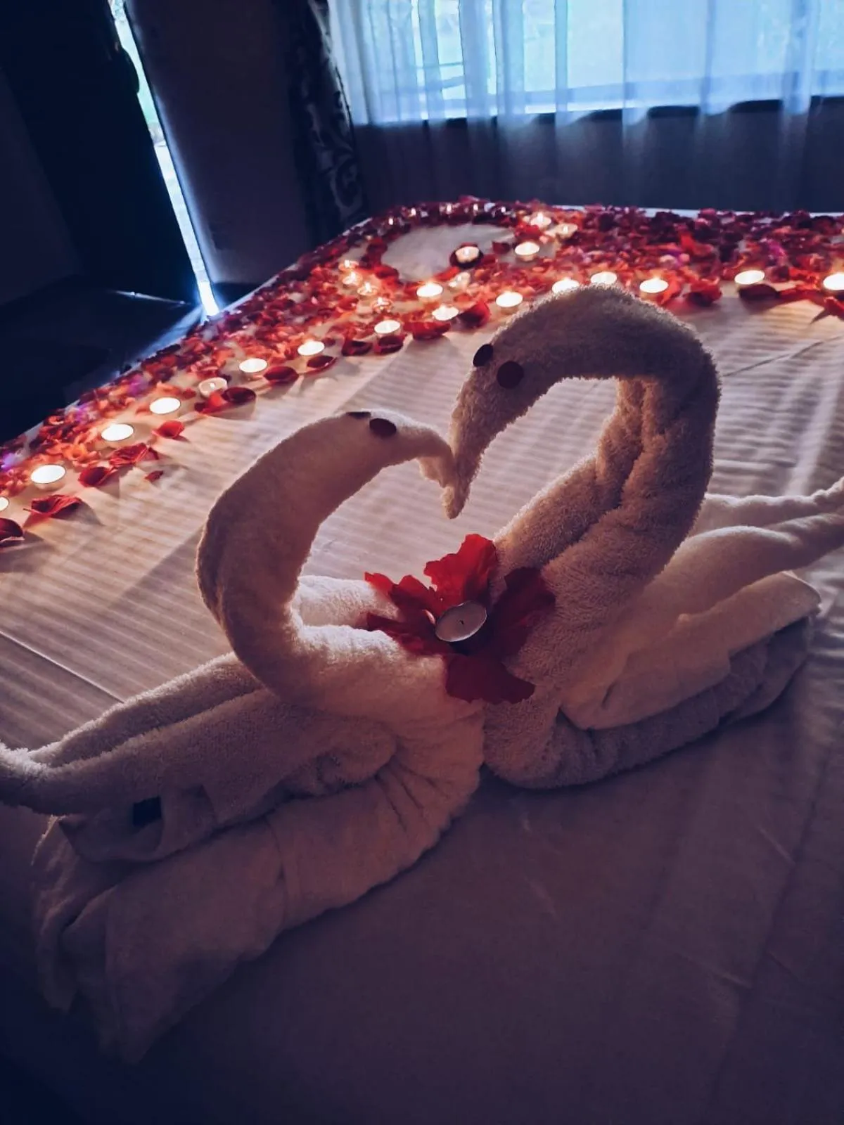 Bed in Ecotel Premier Lodge & Conference Centre