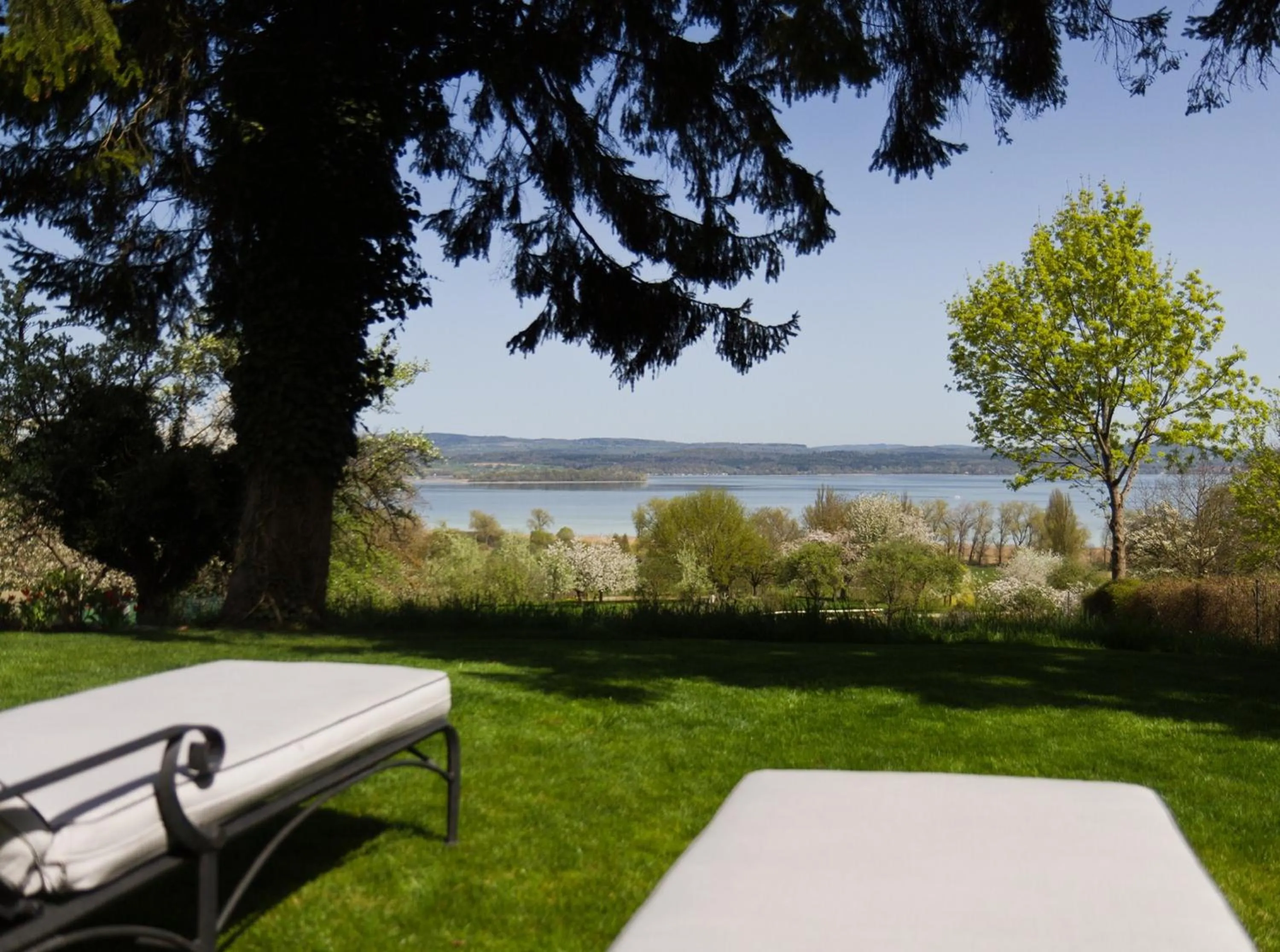 Garden in Hotel Hirschen Horn