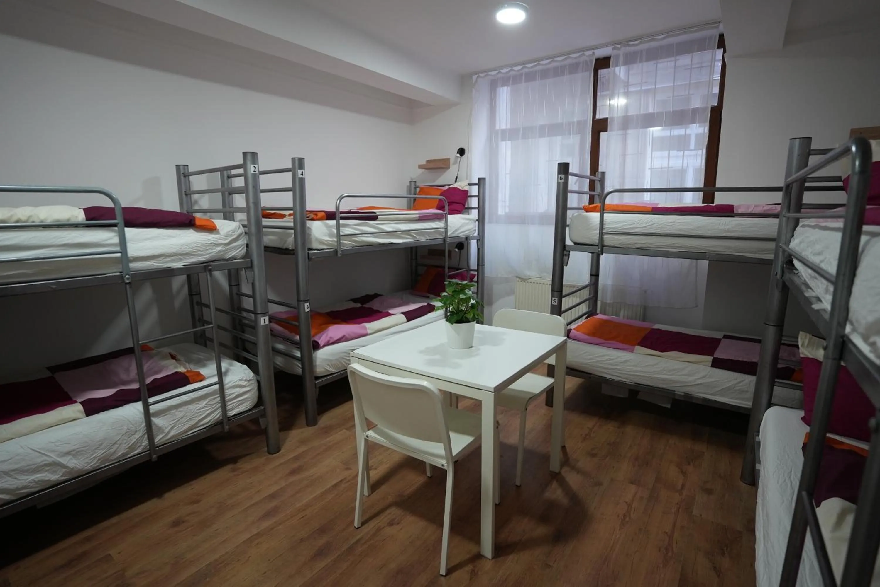 Bed in Center Hostel and Guest House