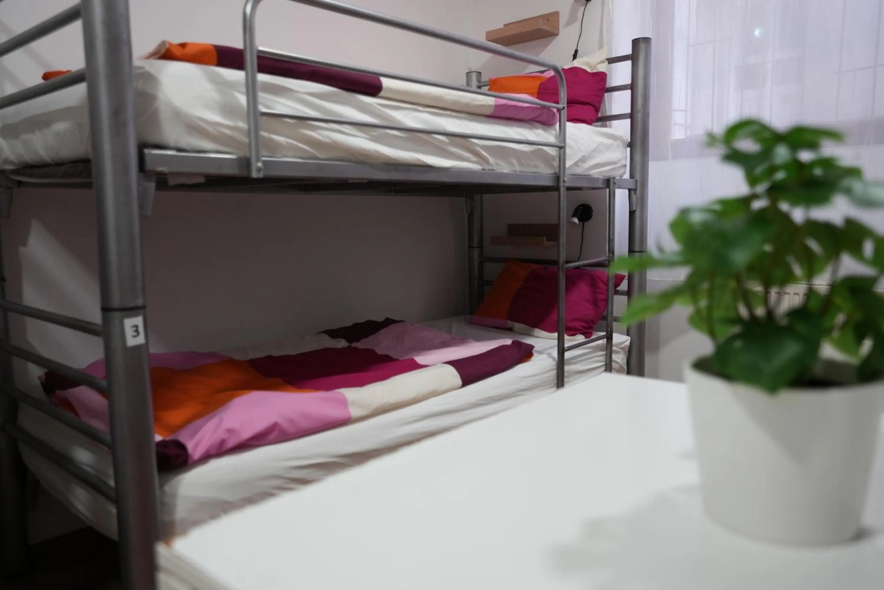 Bed in Center Hostel and Guest House