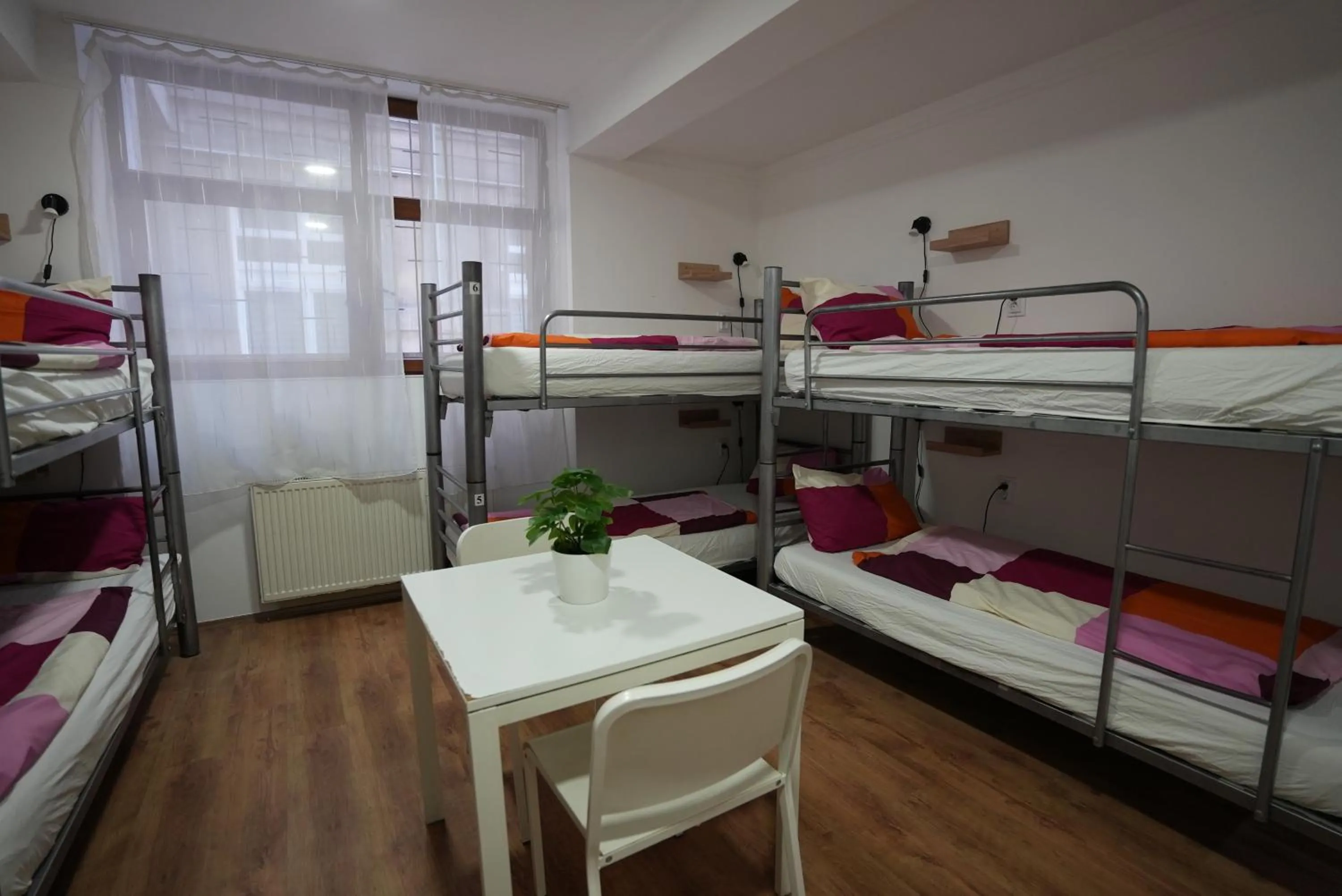 Bed in Center Hostel and Guest House
