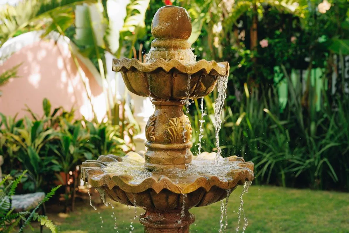 Garden in Hotel Boutique Quinta das Videiras